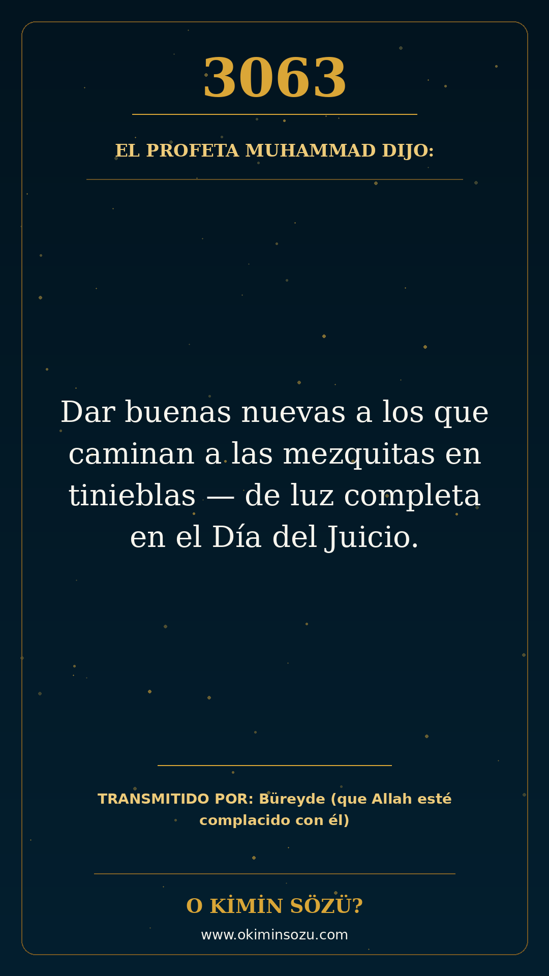 hadis 3063 es