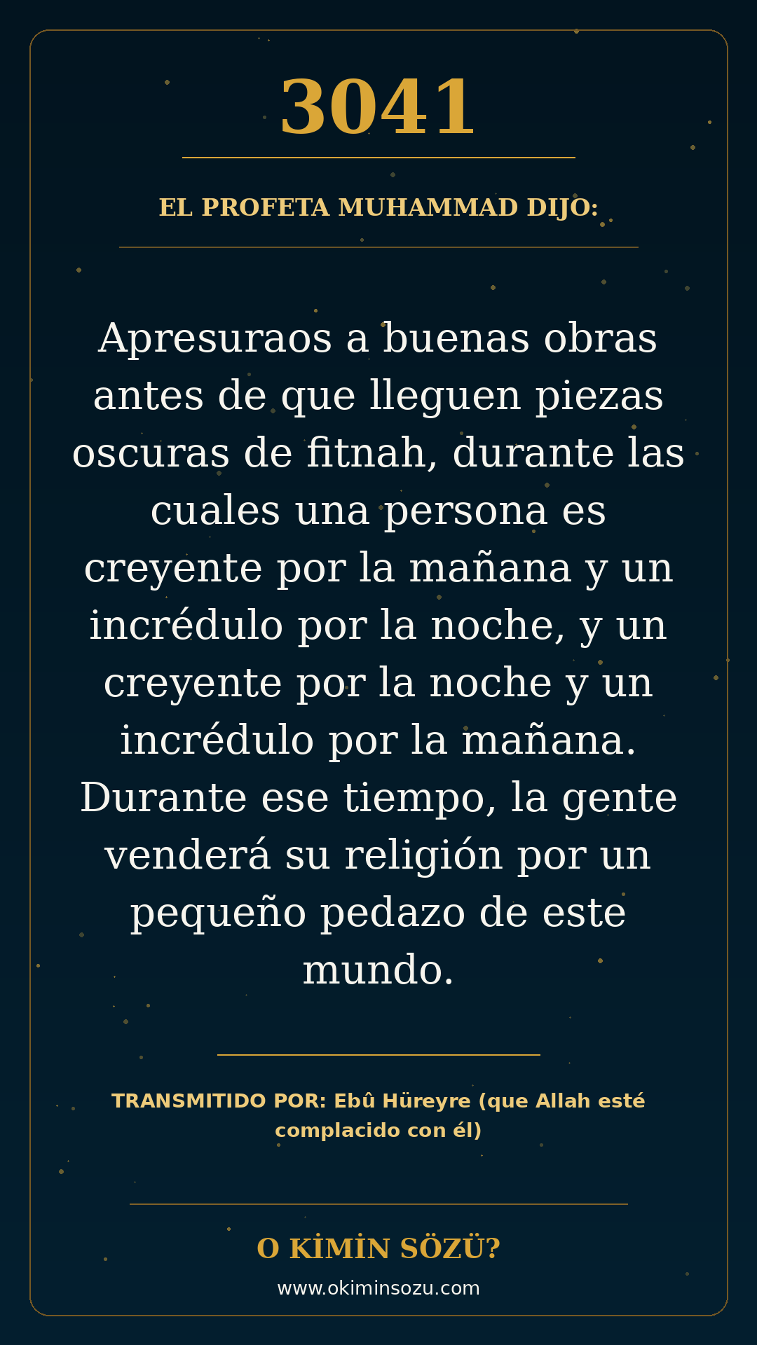 hadis 3041 es
