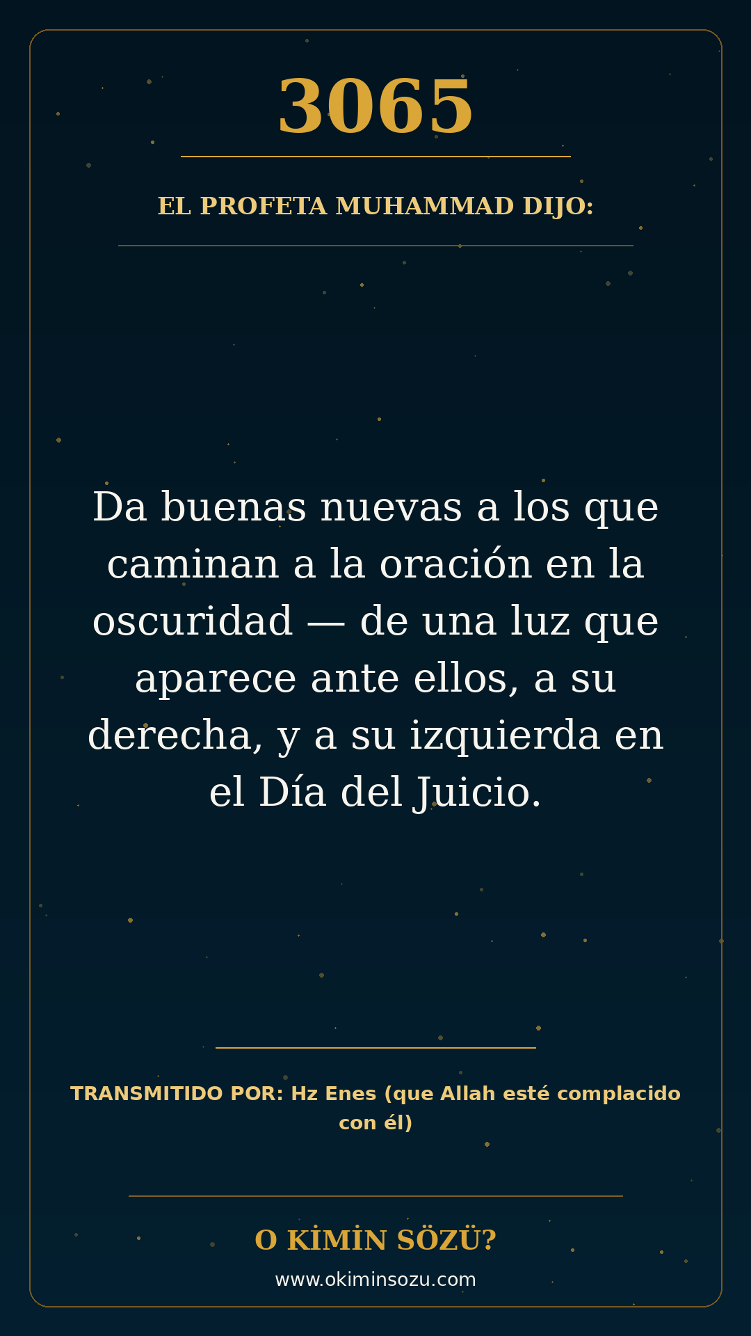 hadis 3065 es
