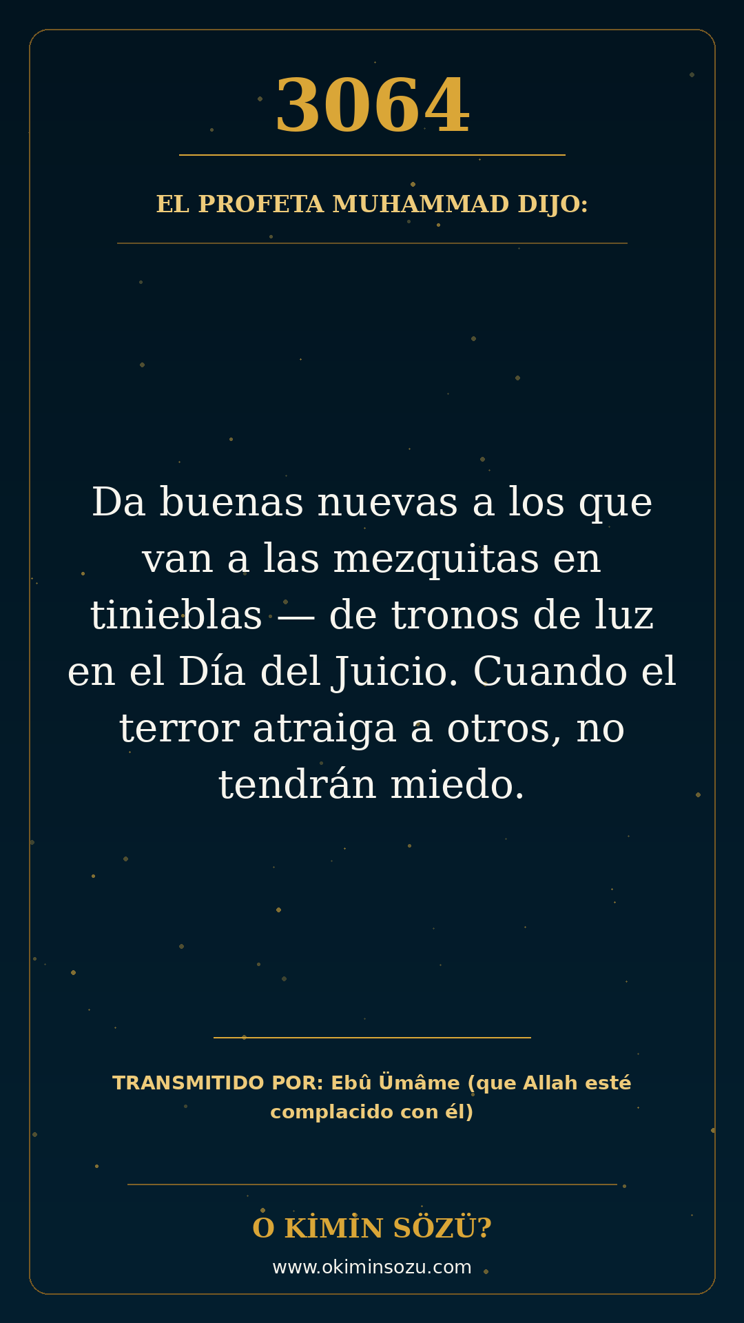hadis 3064 es