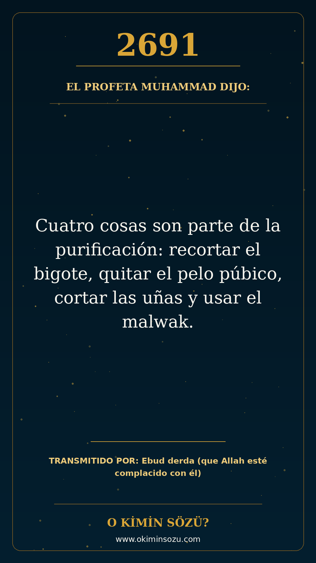 hadis 2691 es