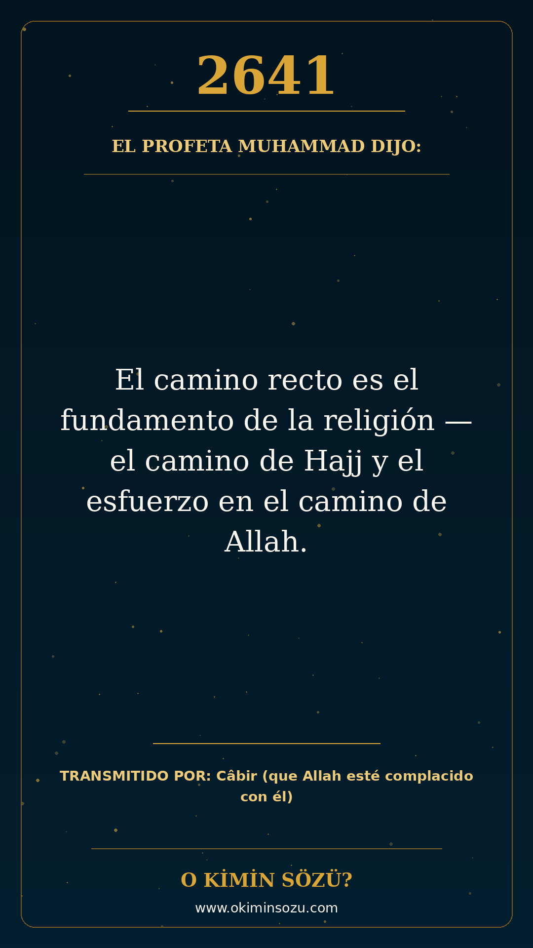 hadis 2641 es
