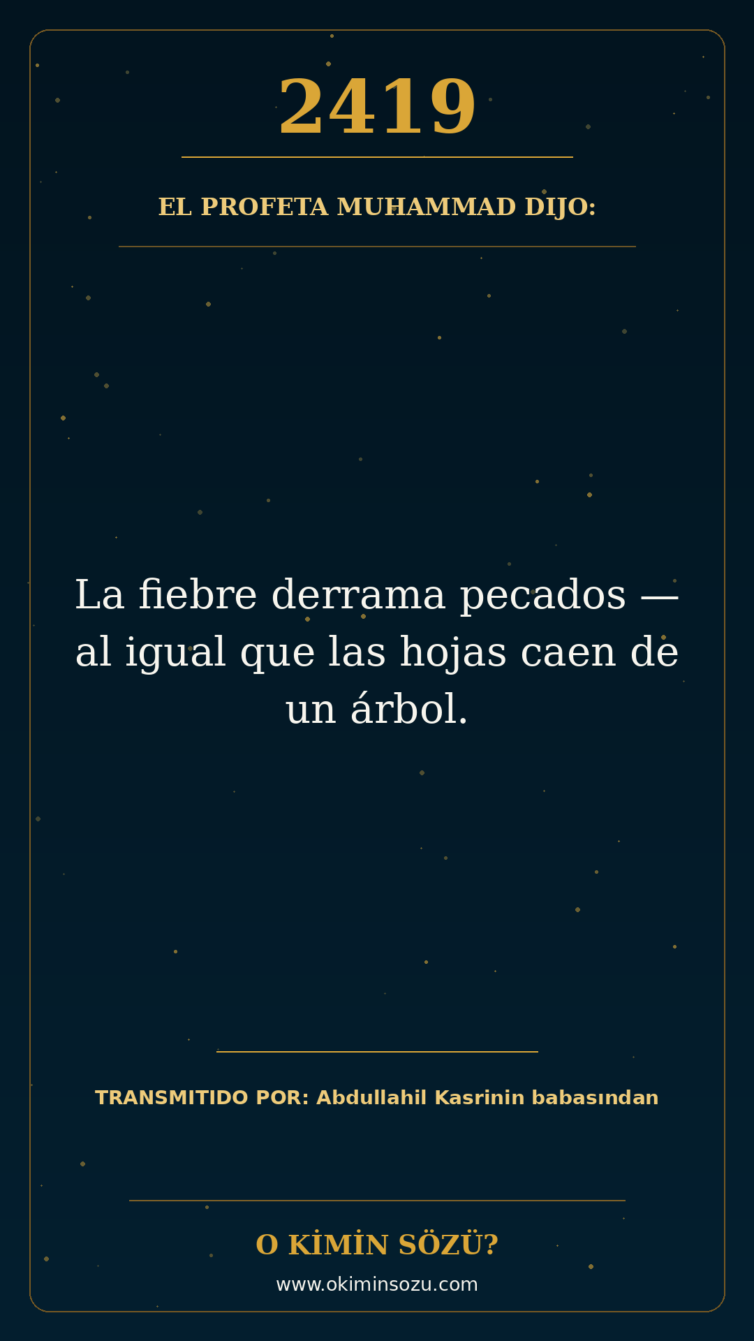 hadis 2419 es