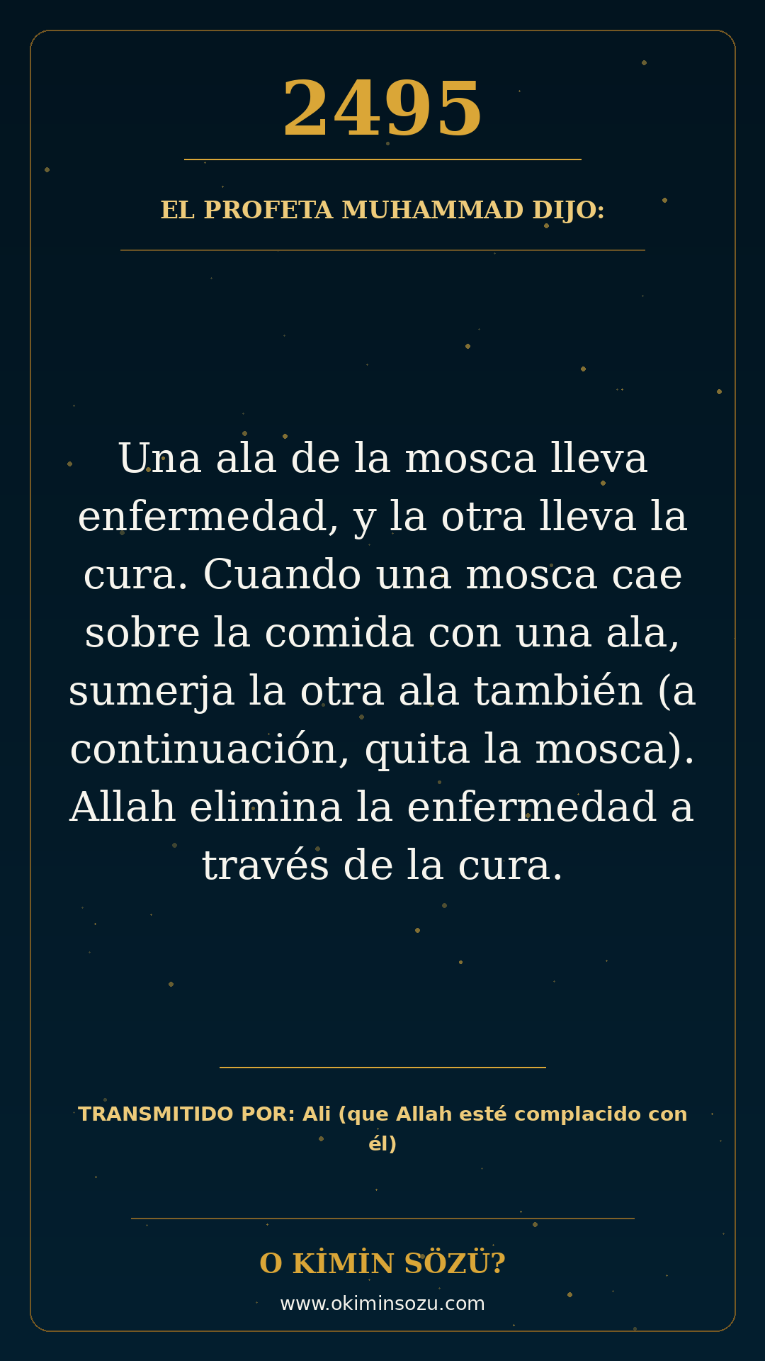 hadis 2495 es