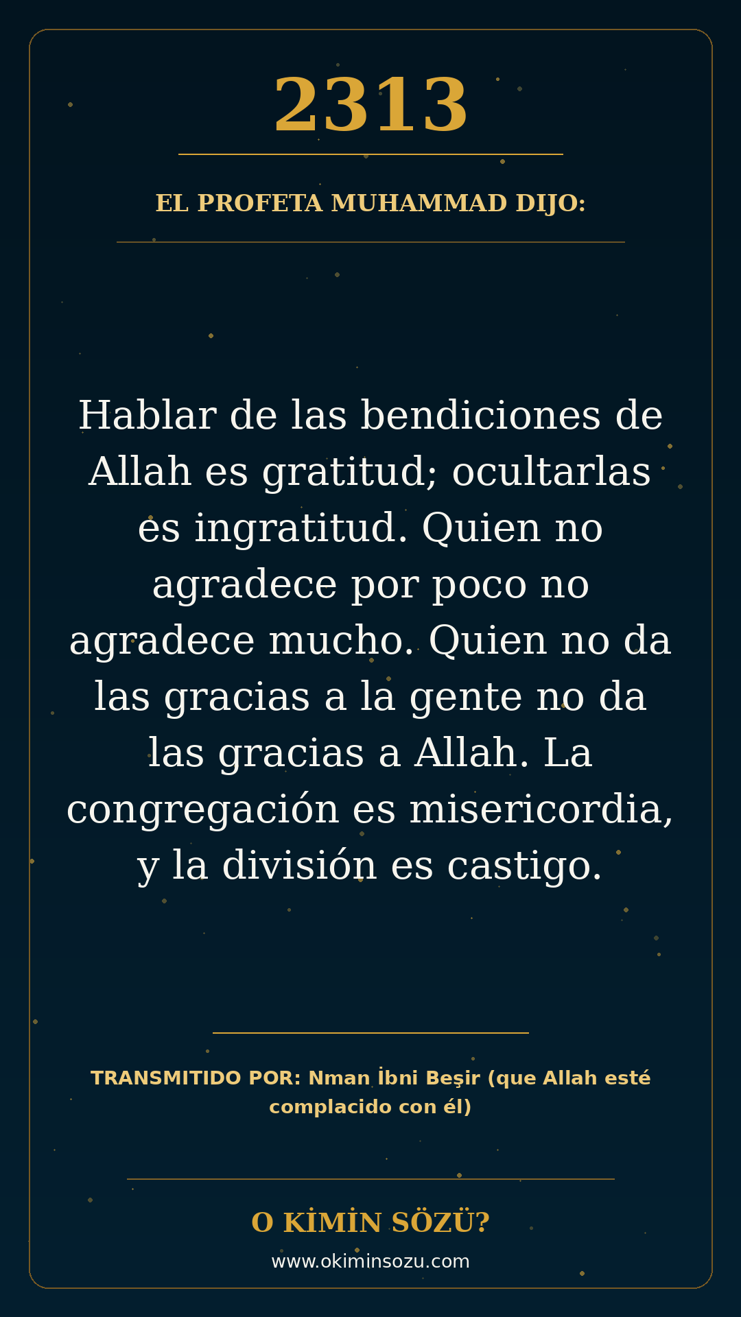 hadis 2313 es