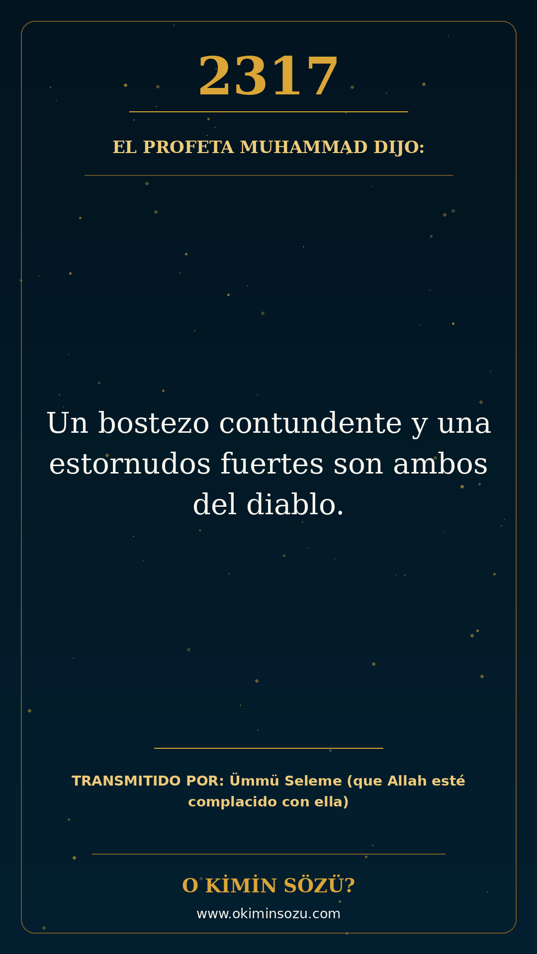 hadis 2317 es