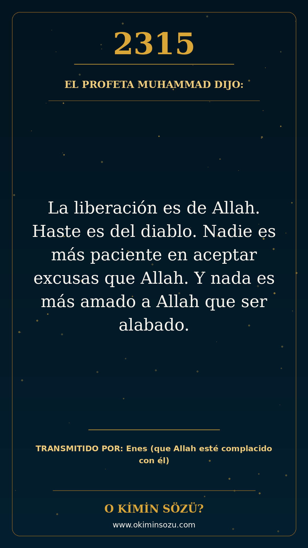 hadis 2315 es