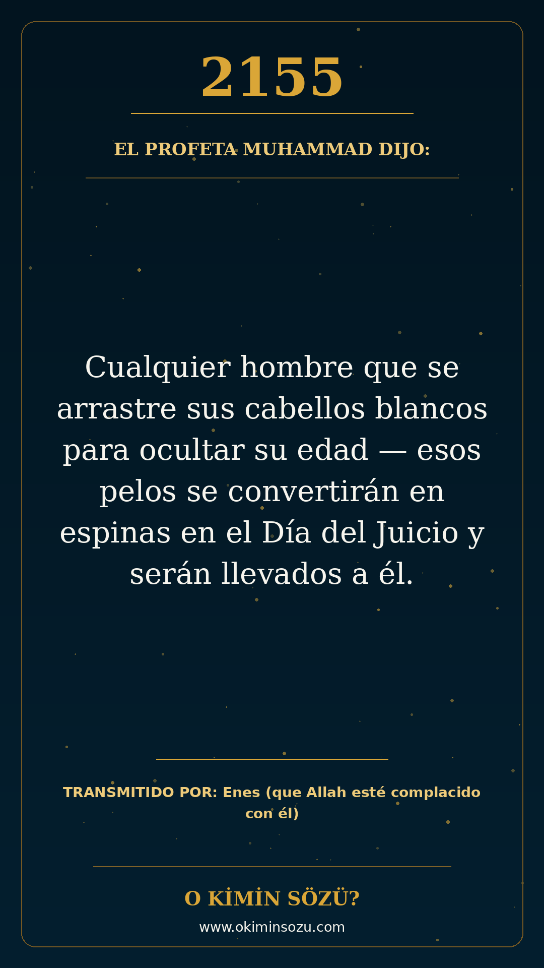 hadis 2155 es
