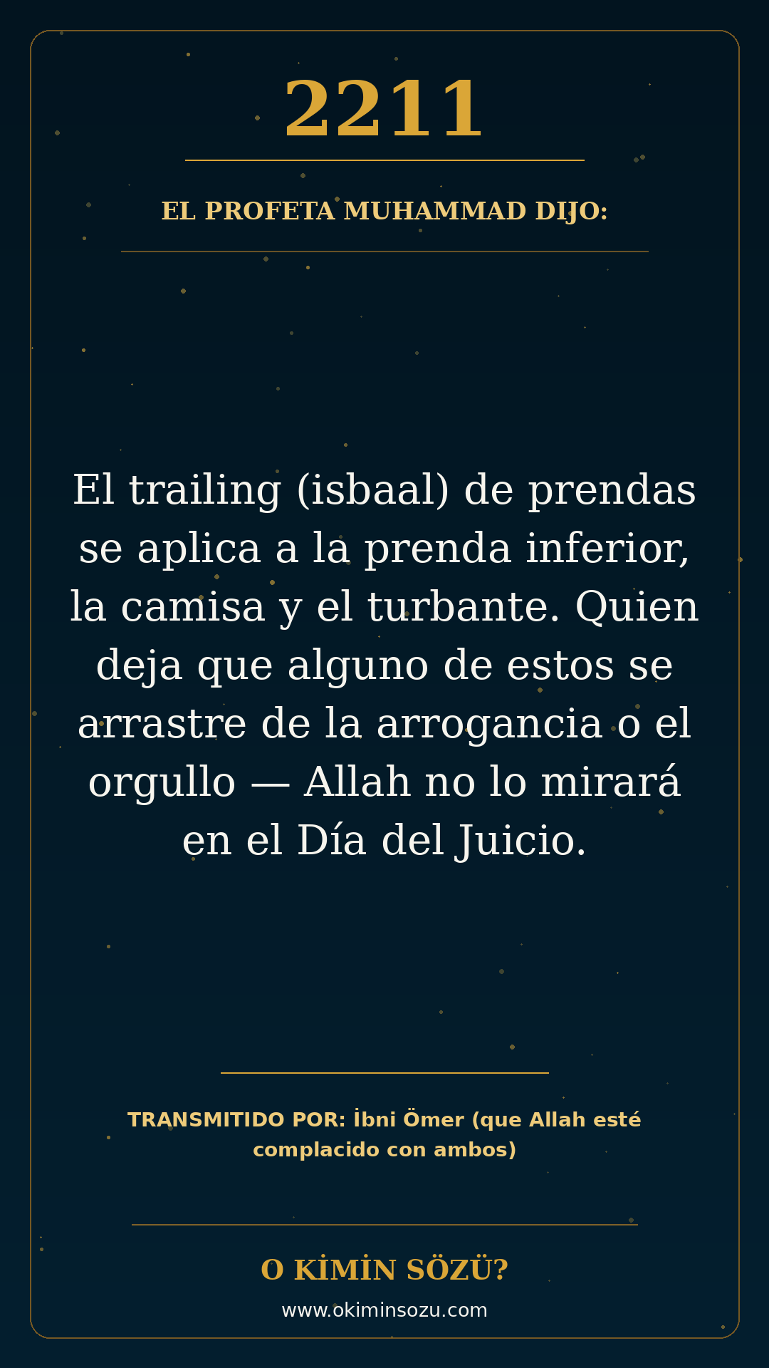 hadis 2211 es