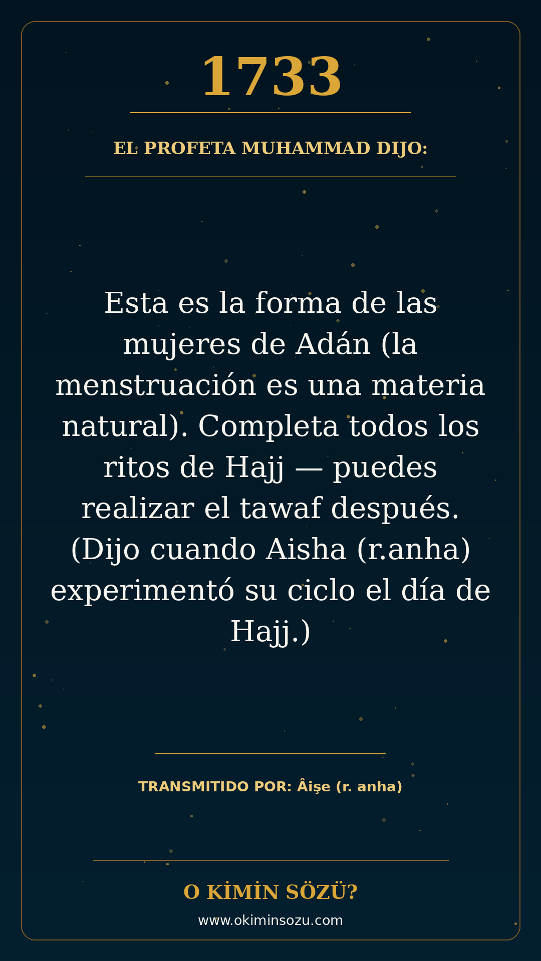 hadis 1733 es