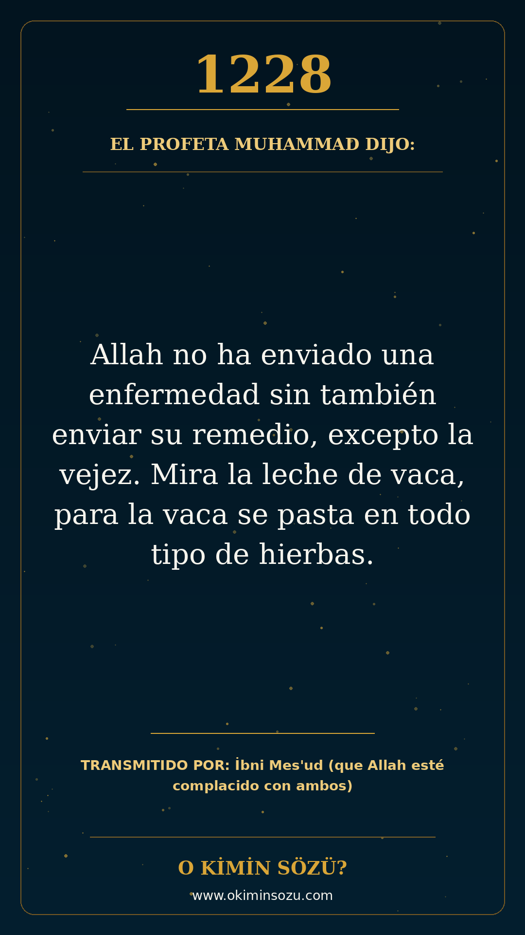 hadis 1228 es