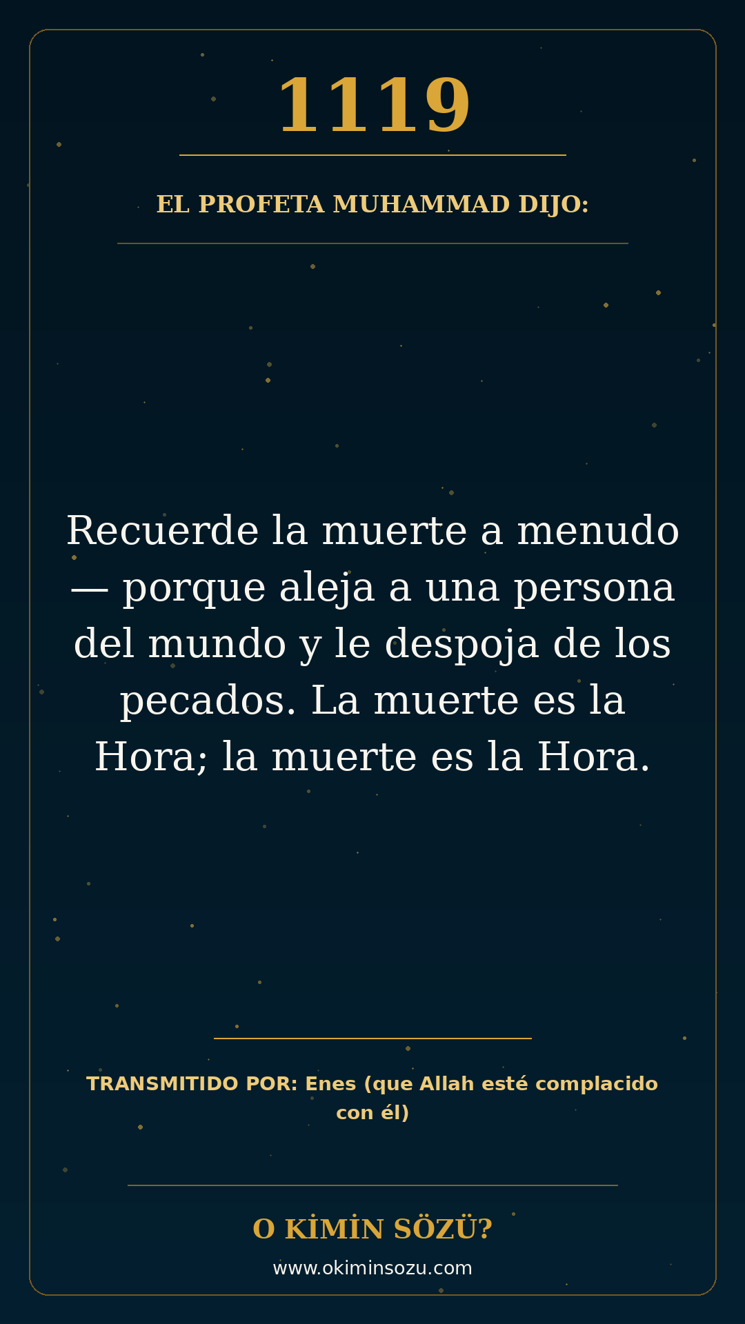 hadis 1119 es
