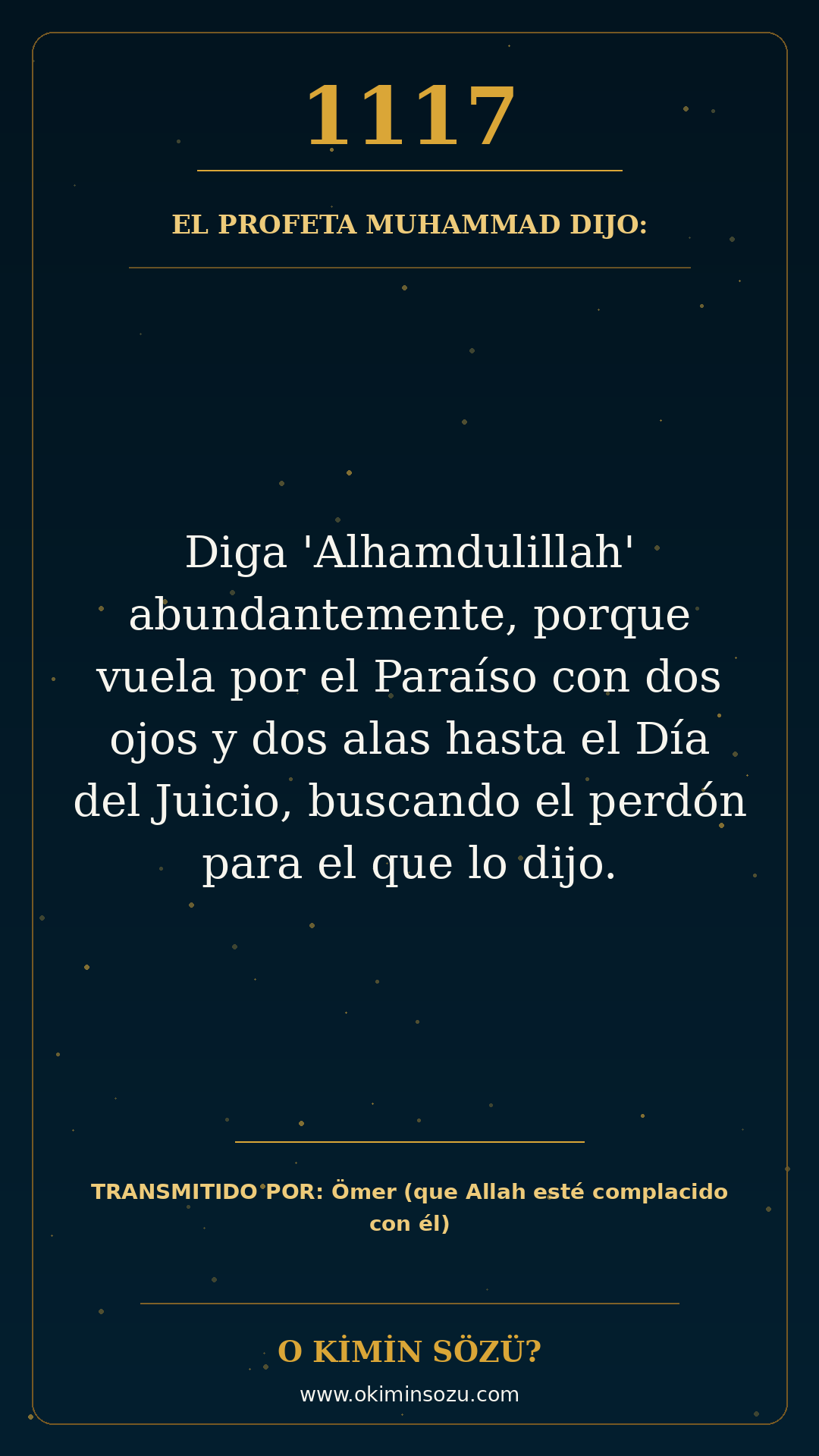 hadis 1117 es