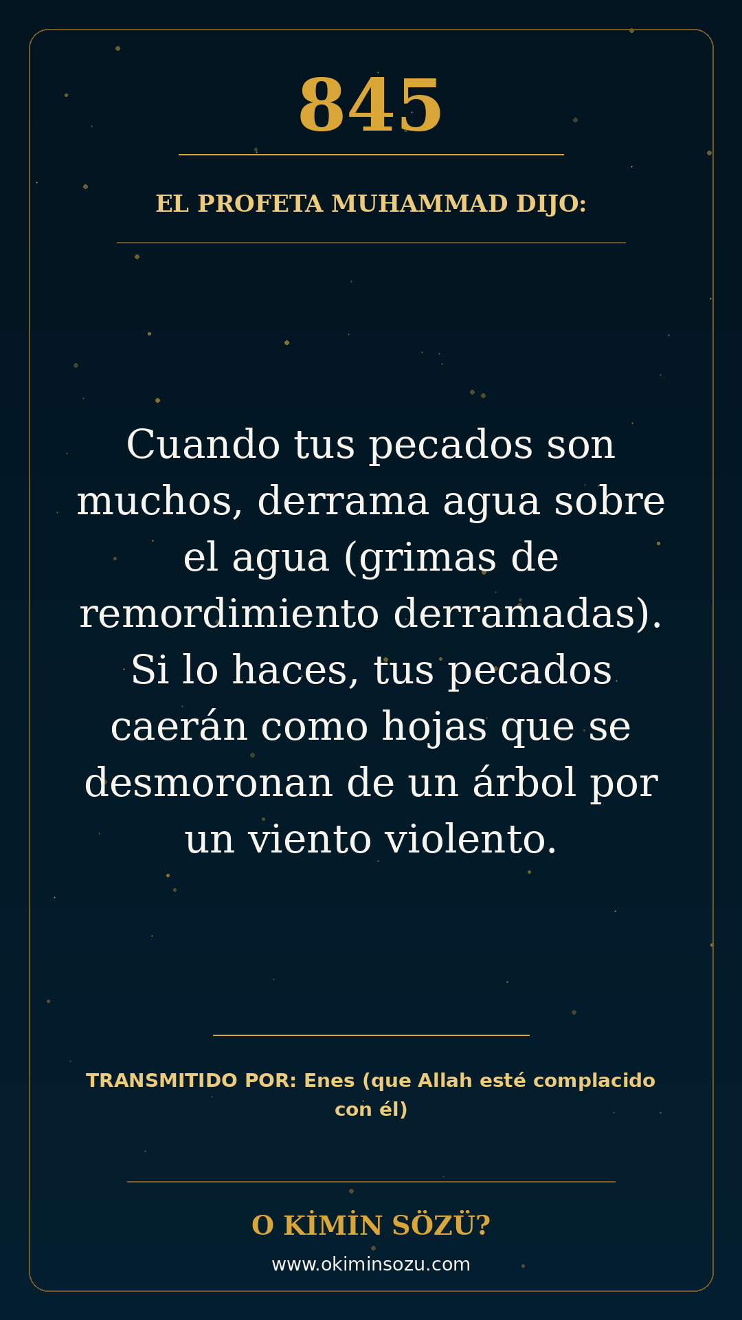 hadis 0845 es