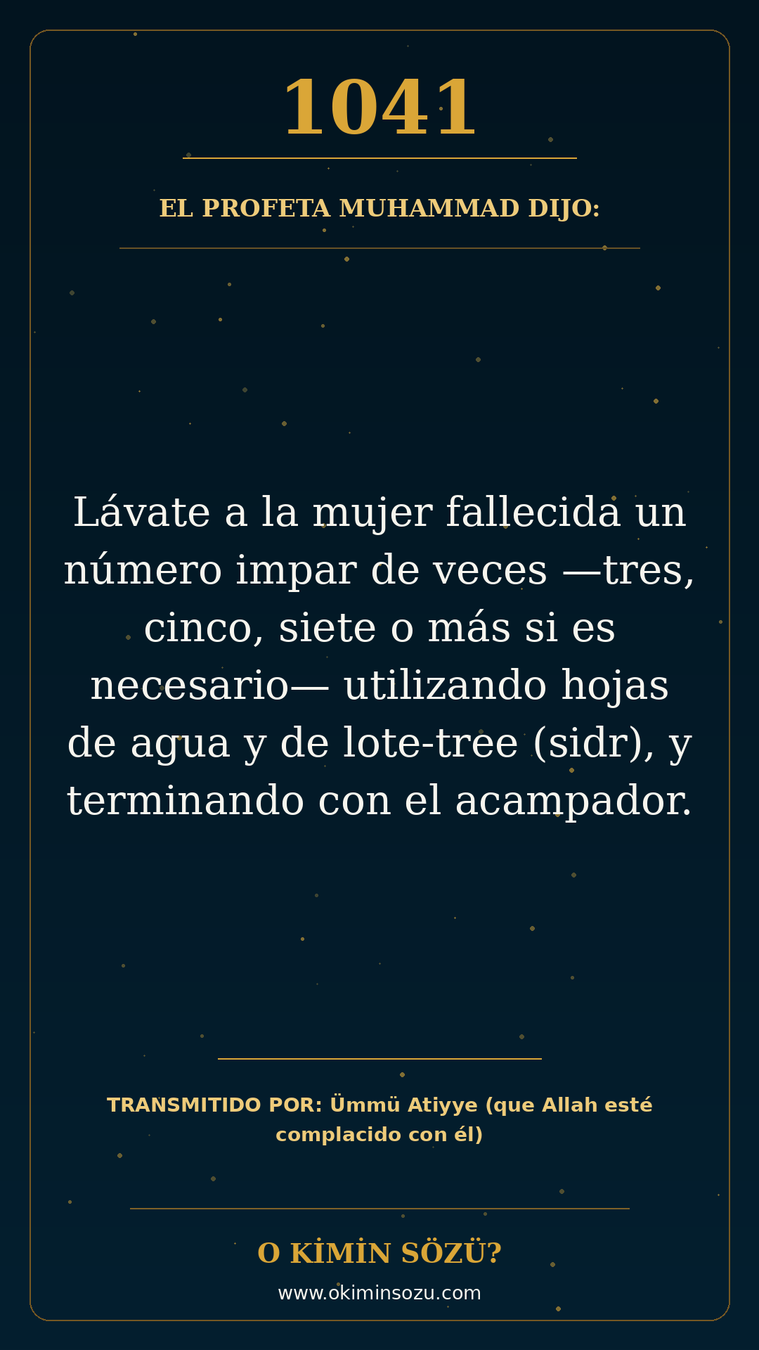 hadis 1041 es
