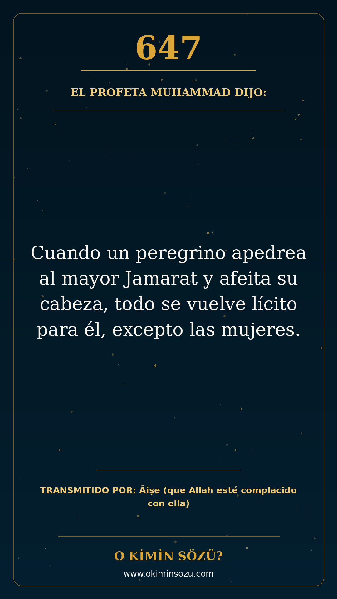 hadis 0647 es