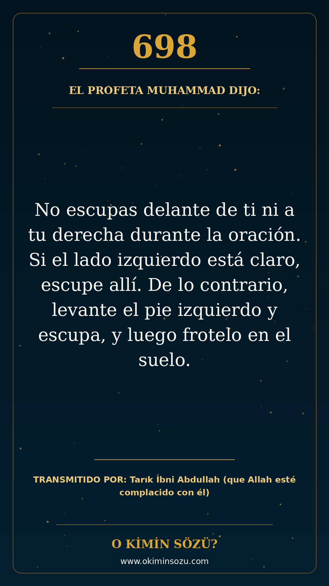 hadis 0698 es