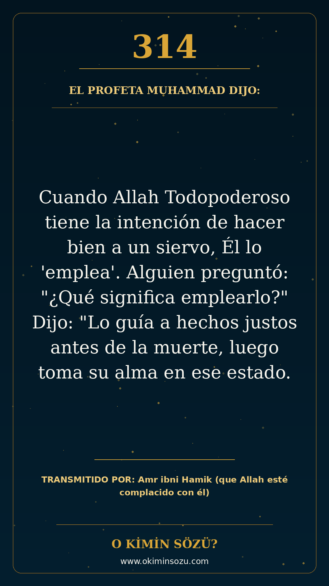 hadis 0314 es