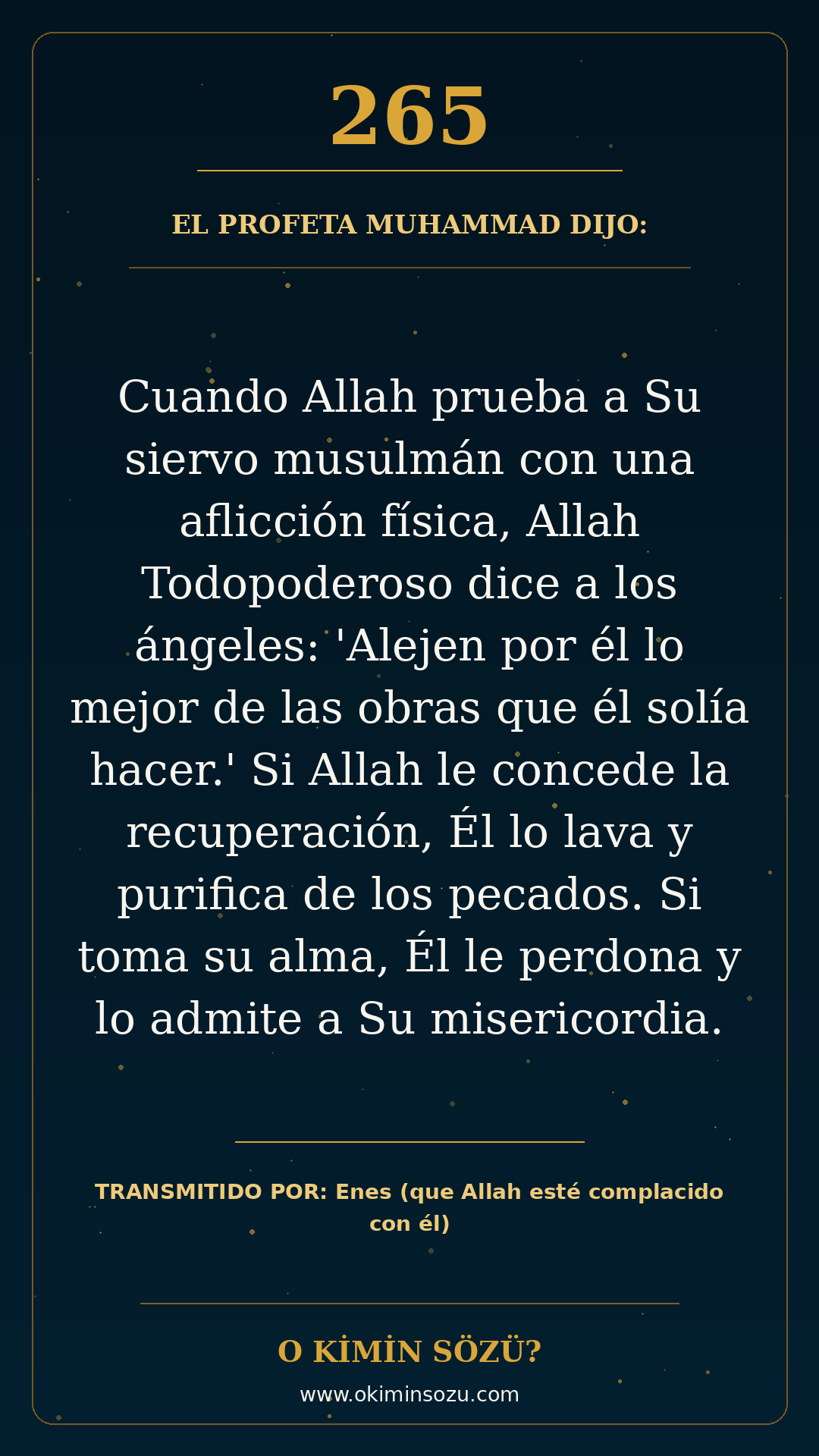 hadis 0265 es