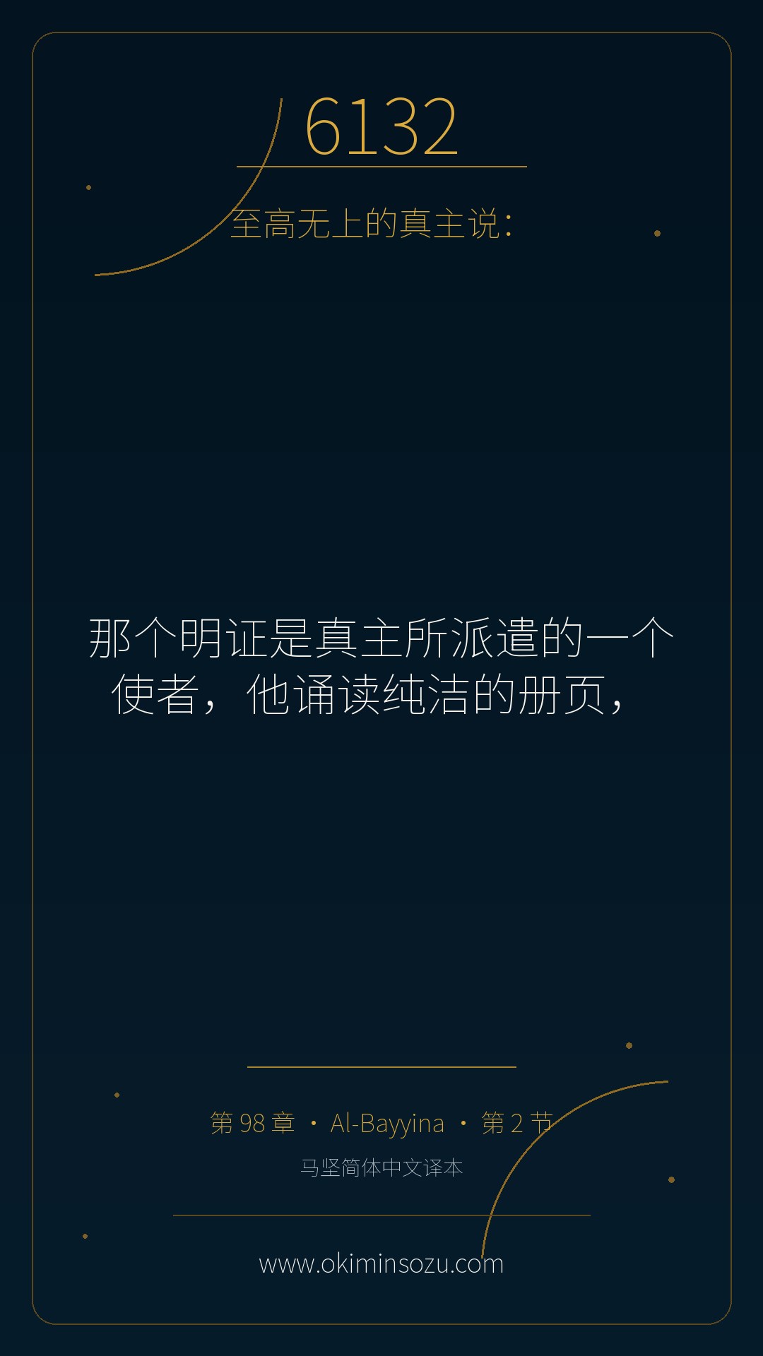 6132 S098 A002