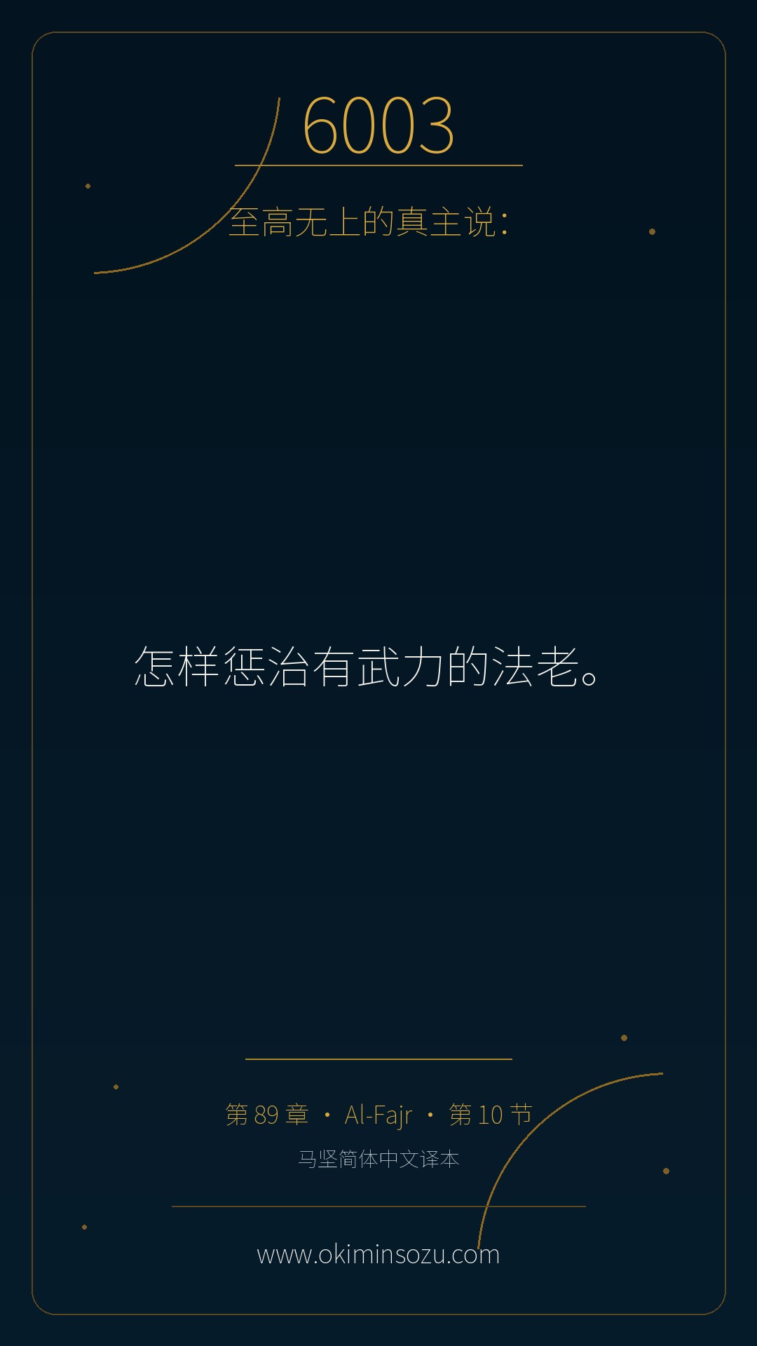 6003 S089 A010