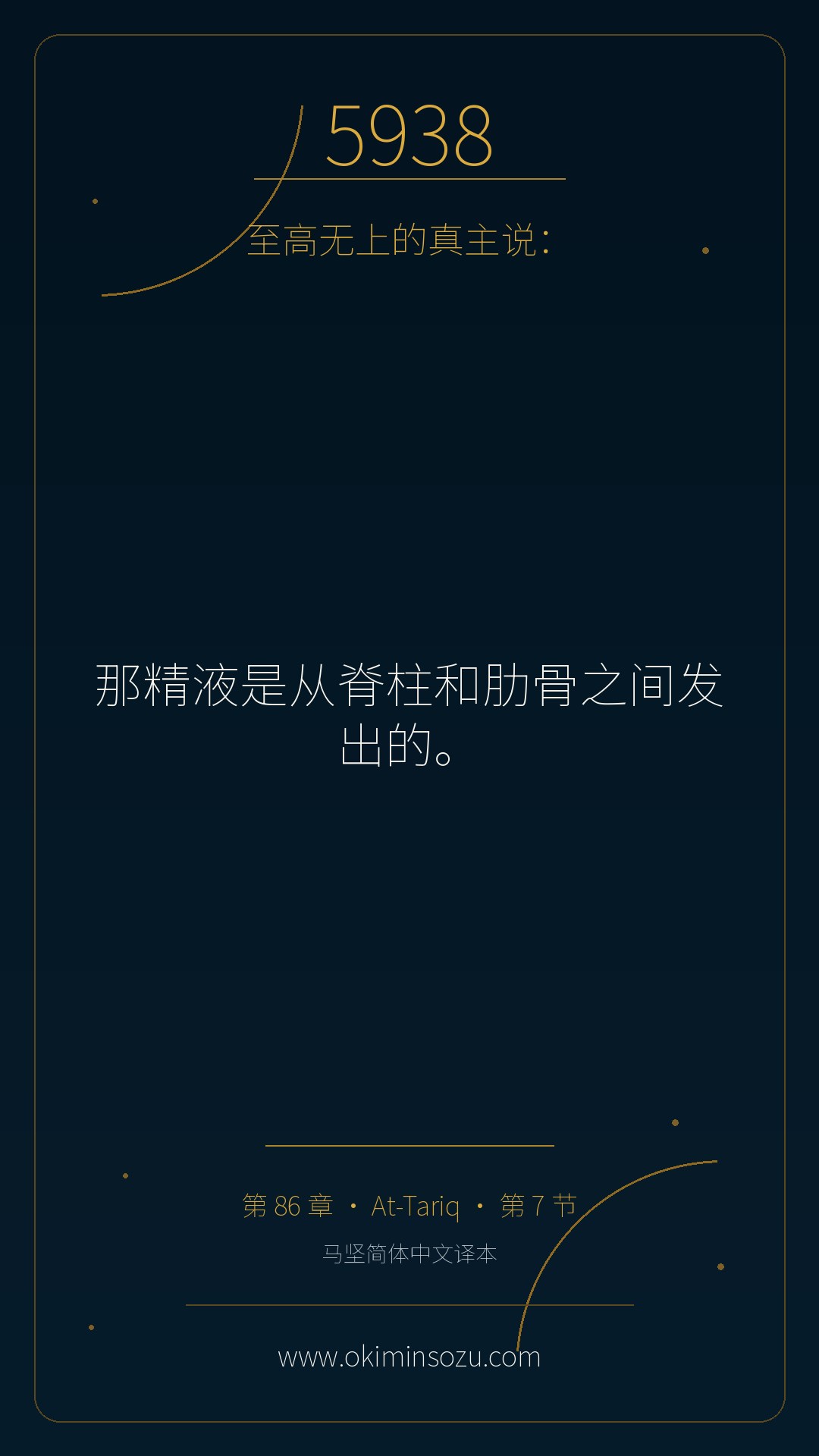 5938 S086 A007