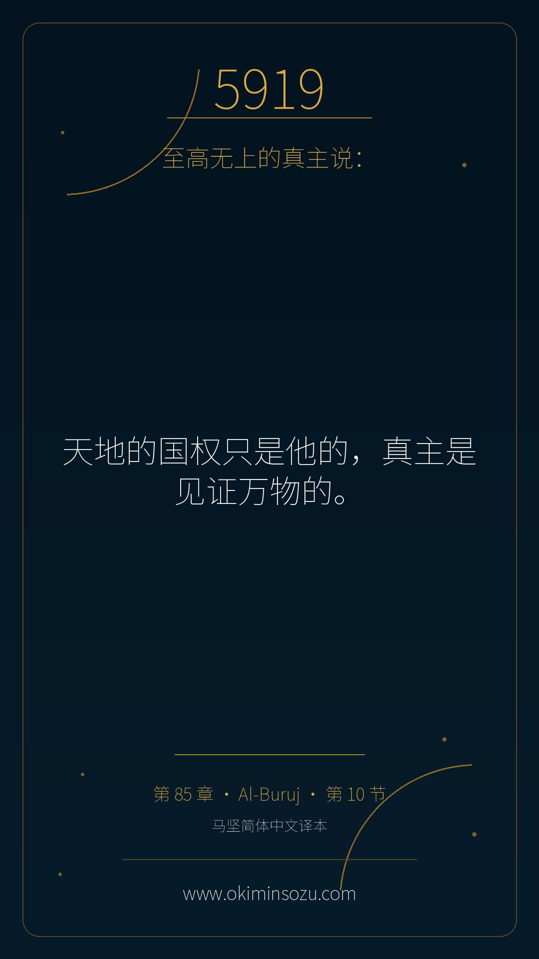 5919 S085 A010