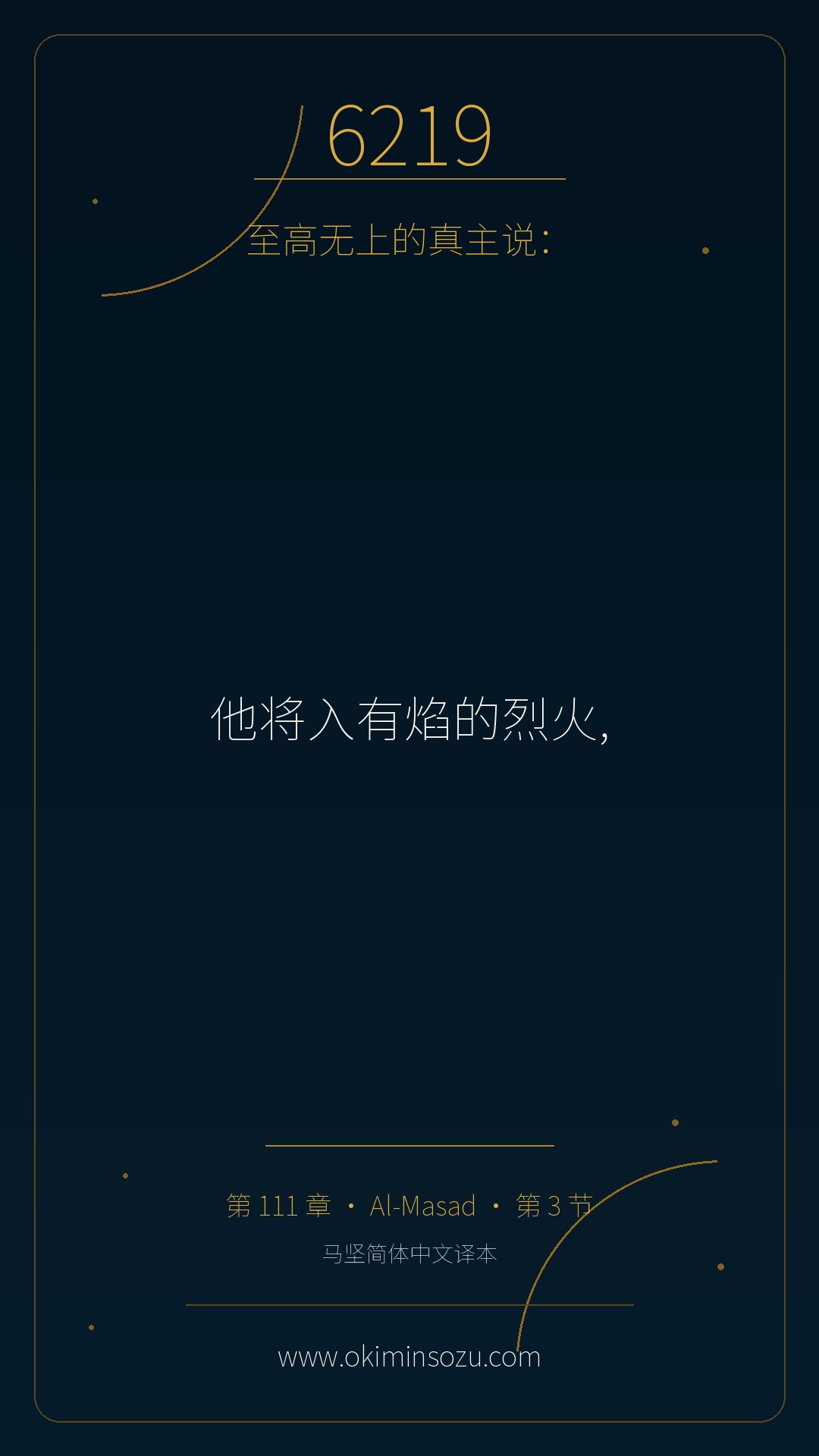 6219 S111 A003