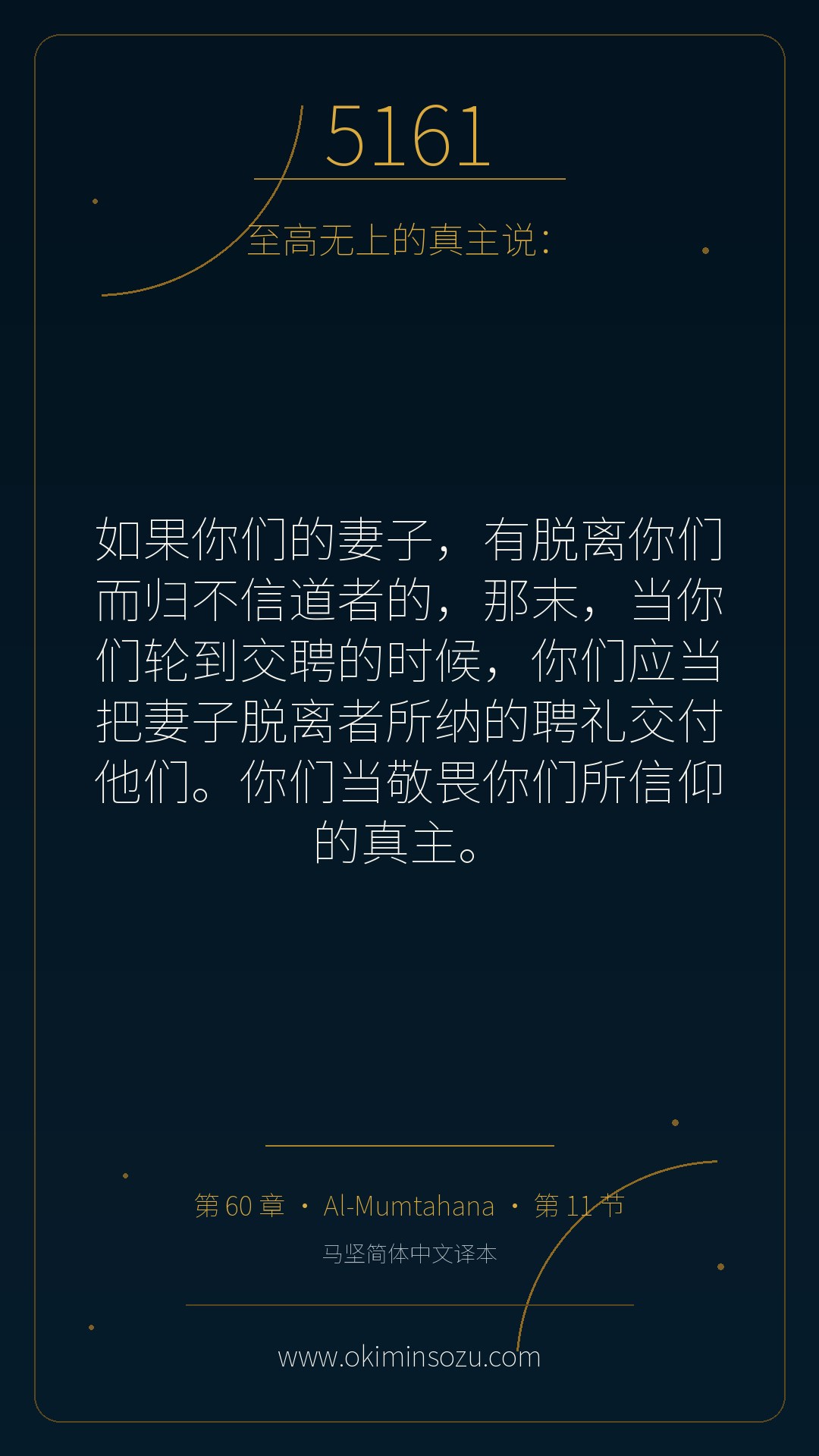 5161 S060 A011