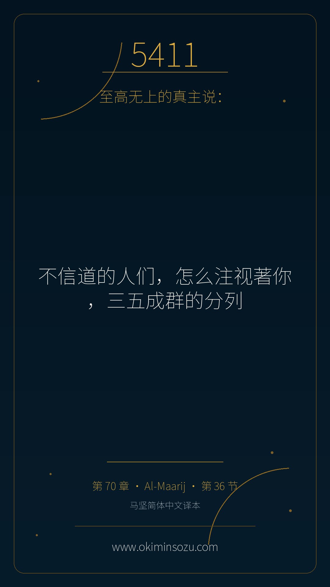 5411 S070 A036