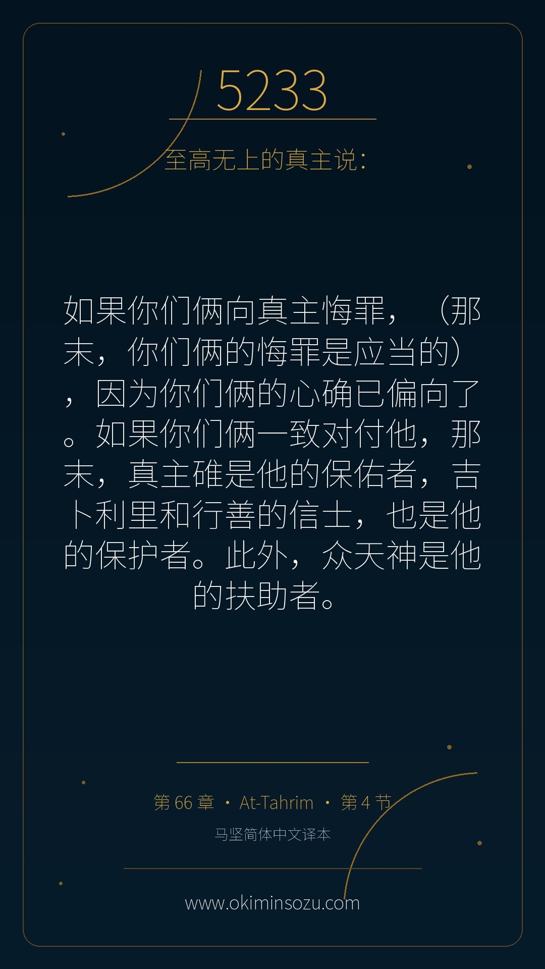 5233 S066 A004