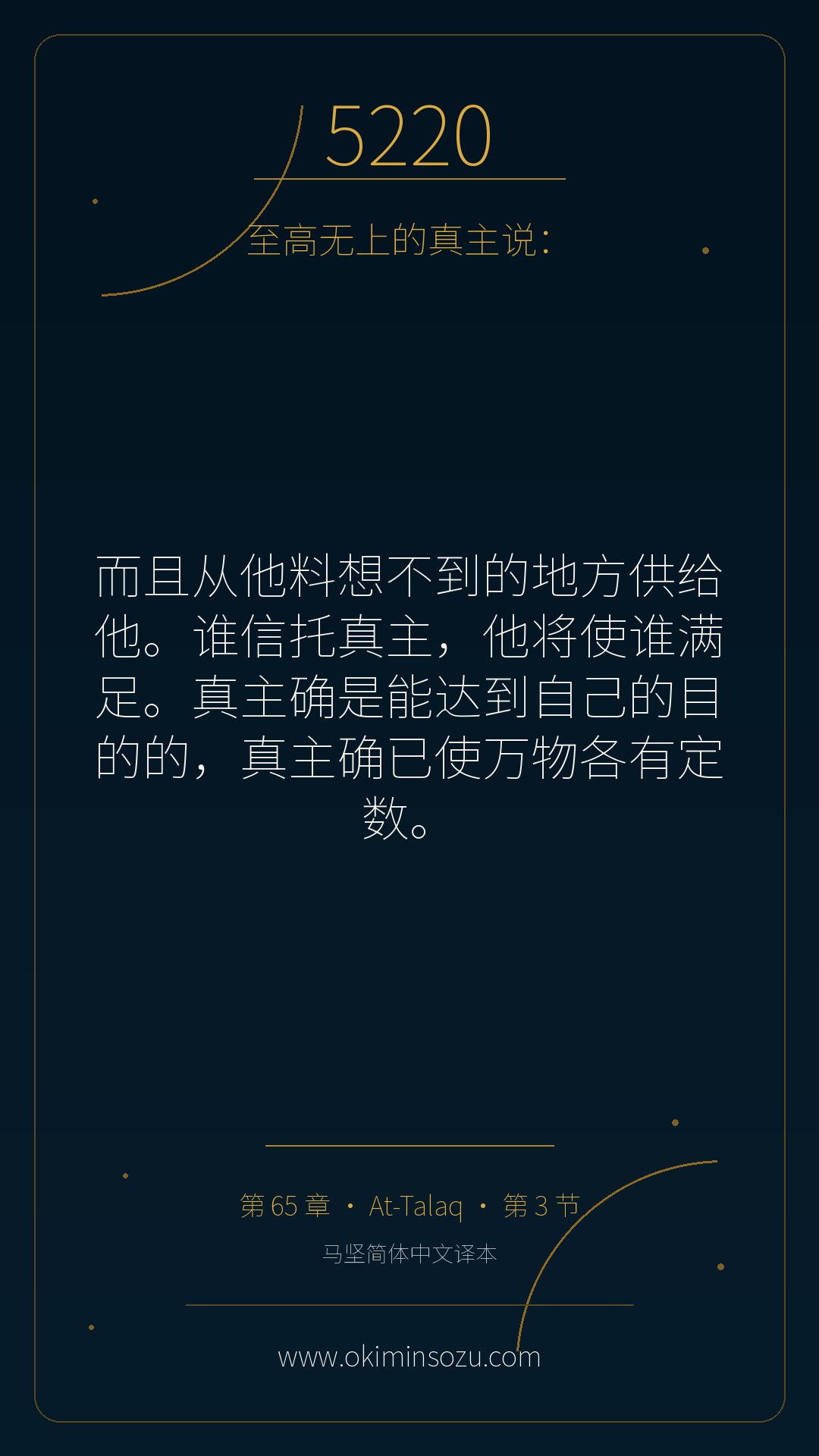 5220 S065 A003