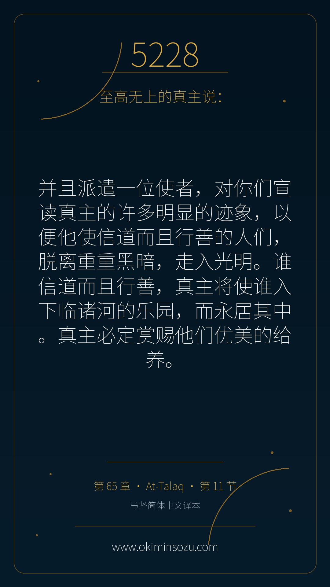 5228 S065 A011