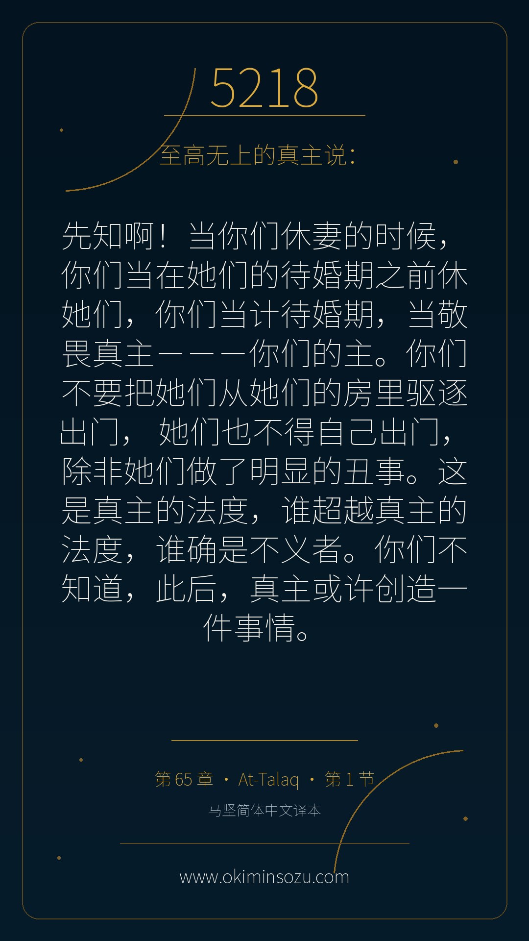 5218 S065 A001