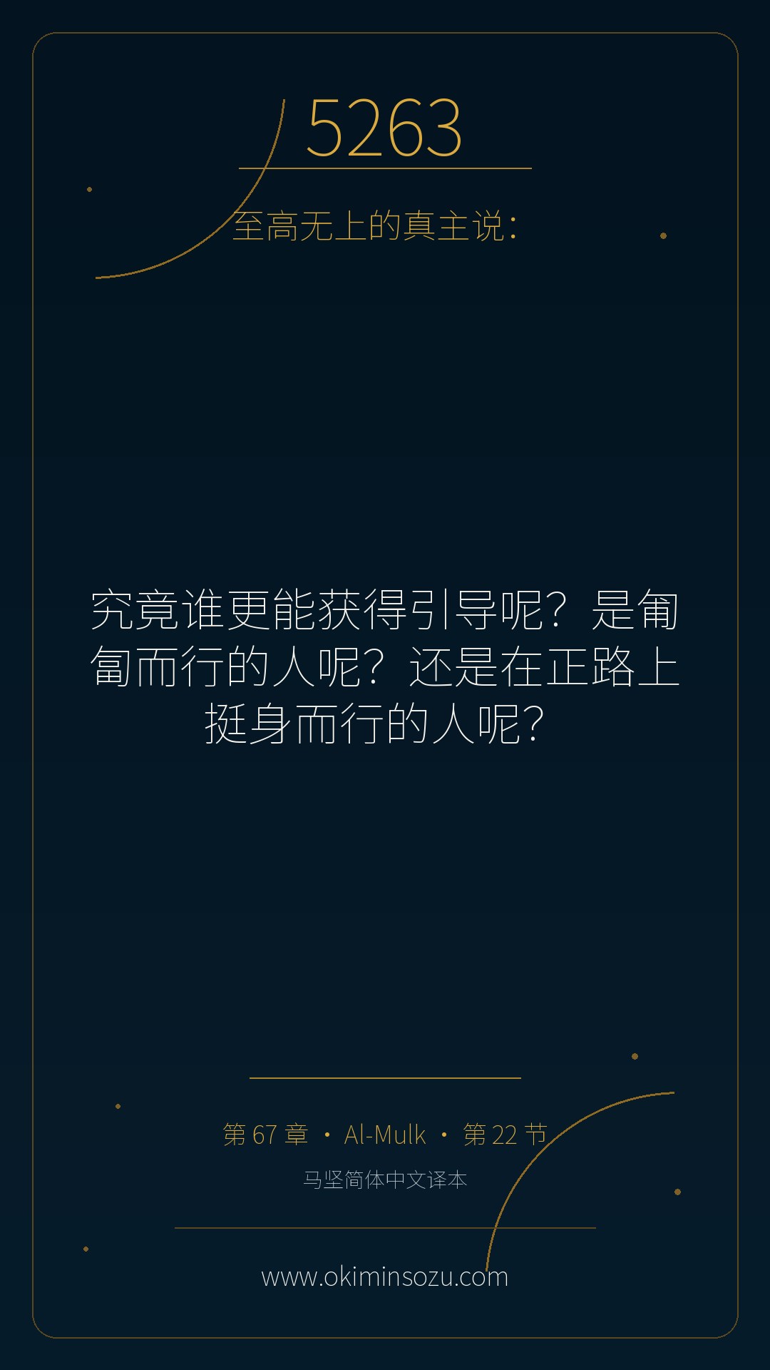 5263 S067 A022
