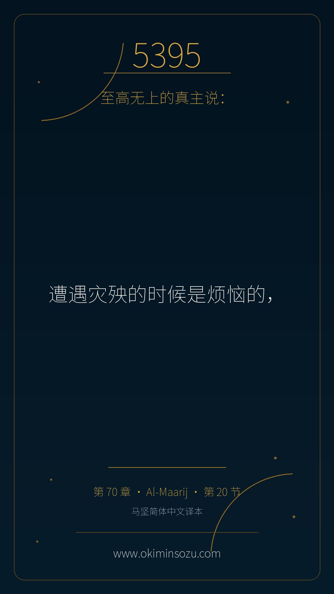 5395 S070 A020