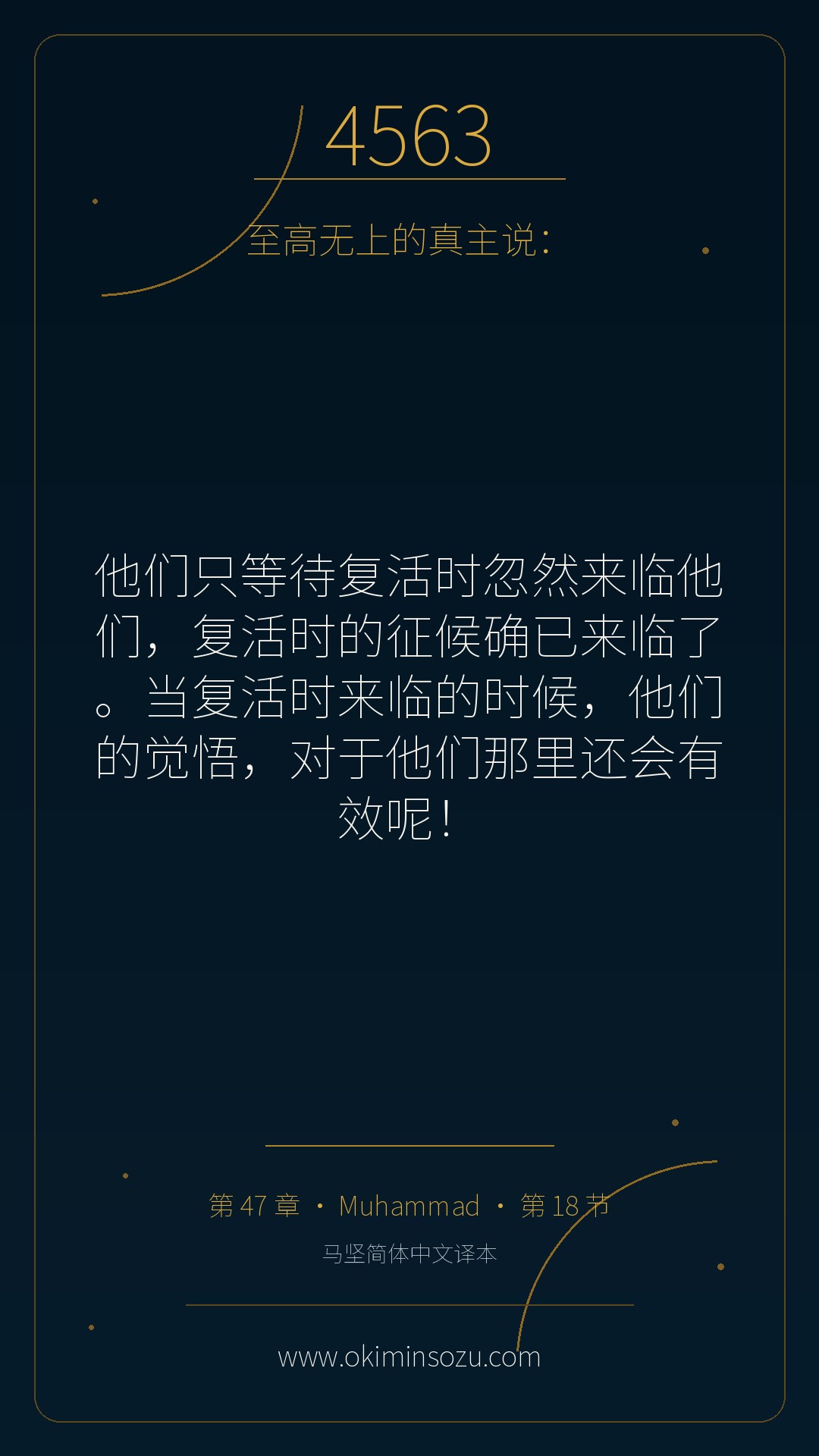 4563 S047 A018