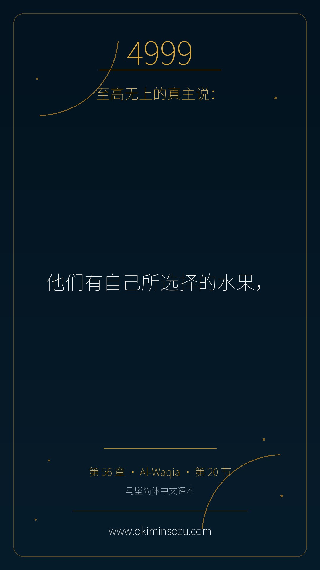 4999 S056 A020