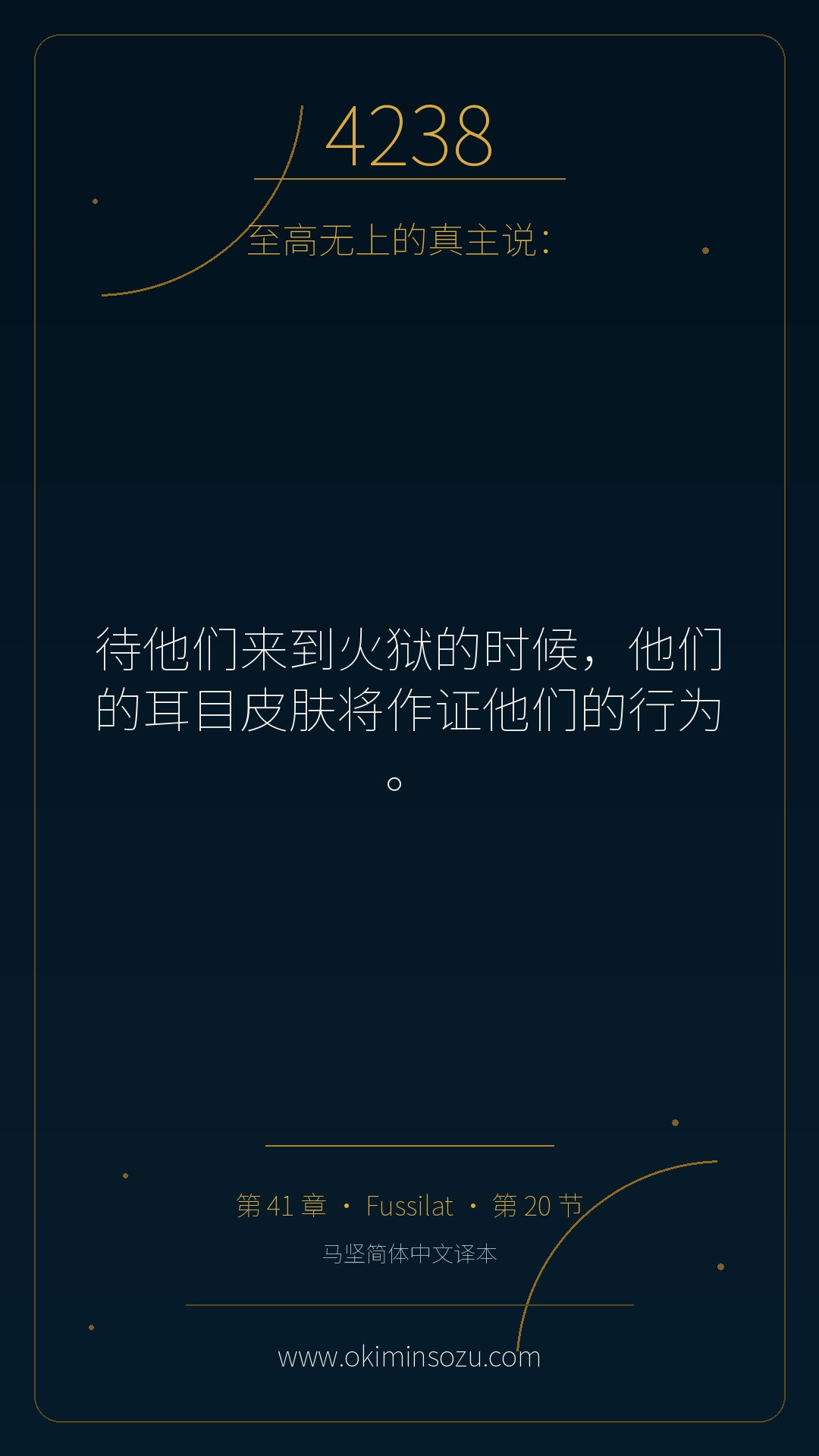 4238 S041 A020
