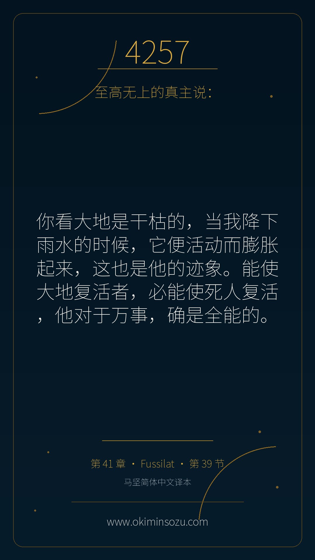 4257 S041 A039