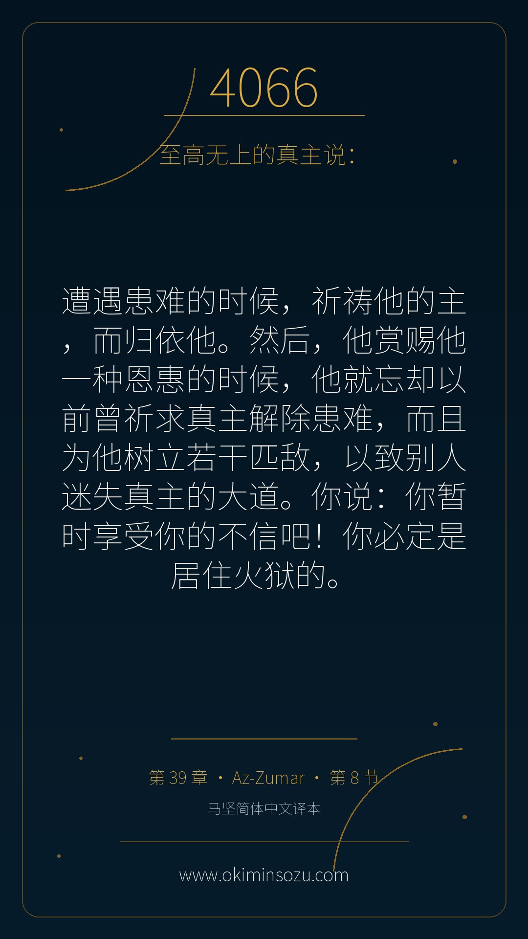 4066 S039 A008