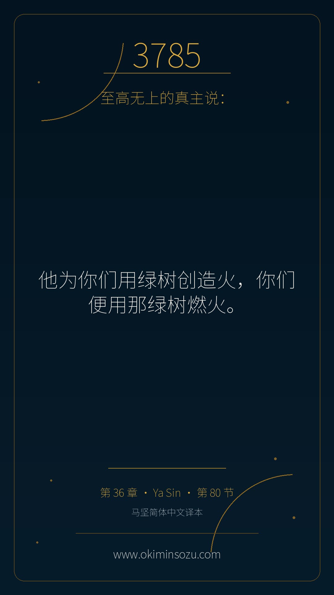 3785 S036 A080
