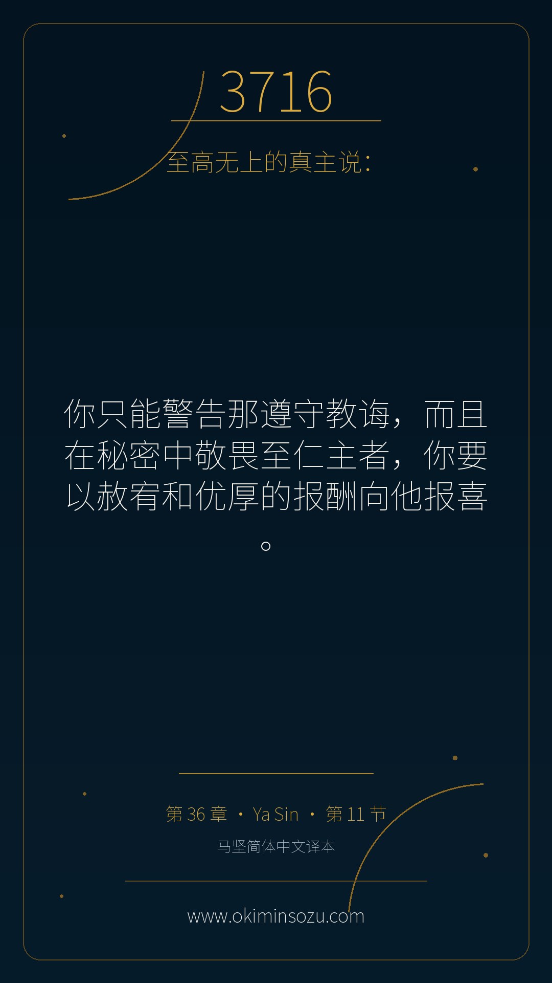 3716 S036 A011