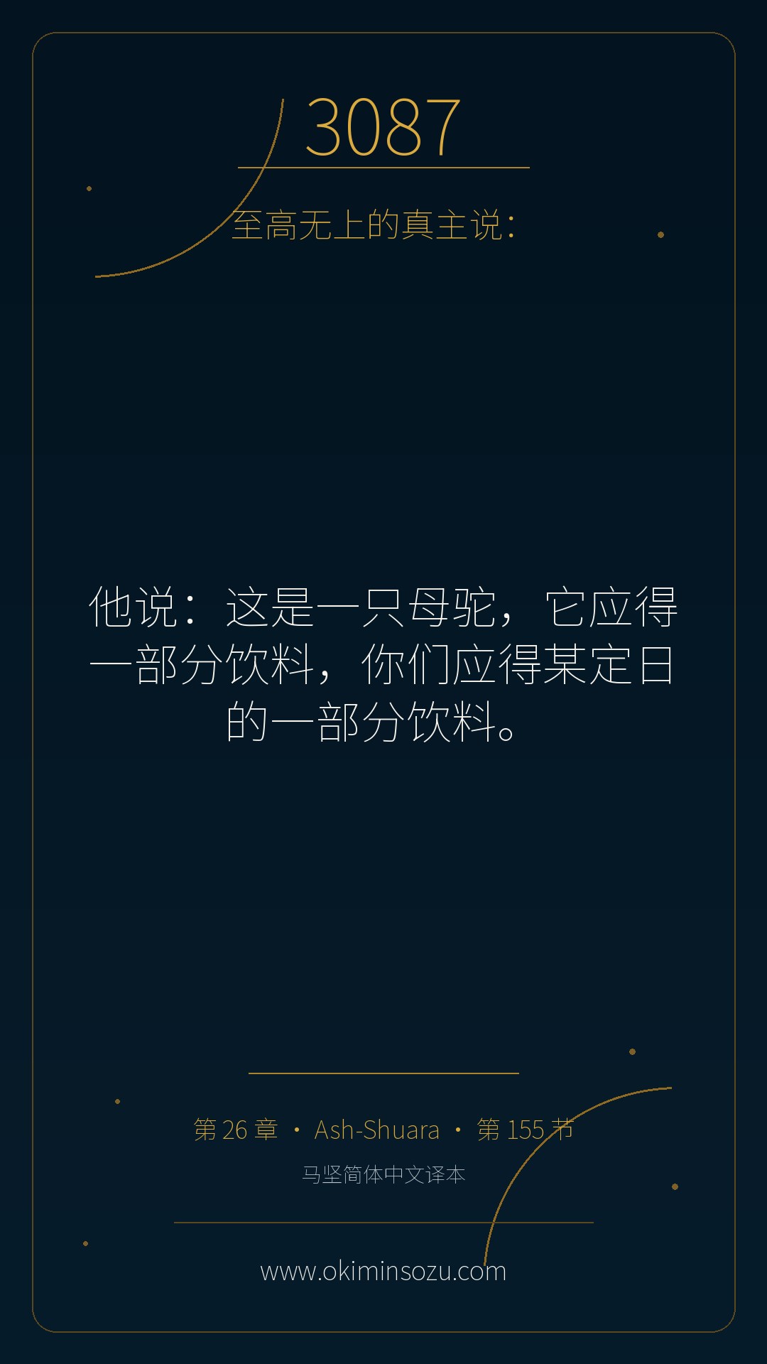 3087 S026 A155