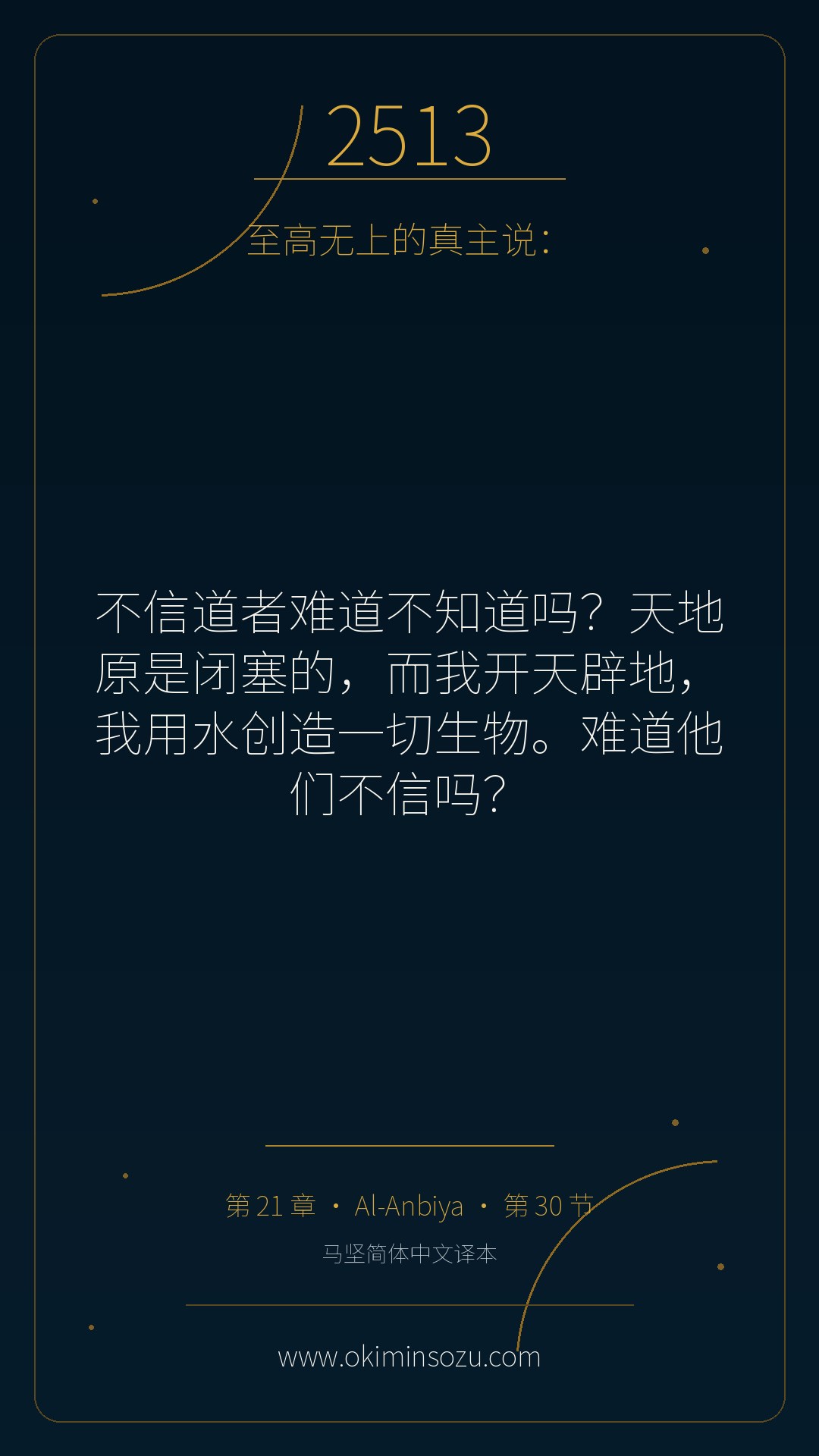 2513 S021 A030