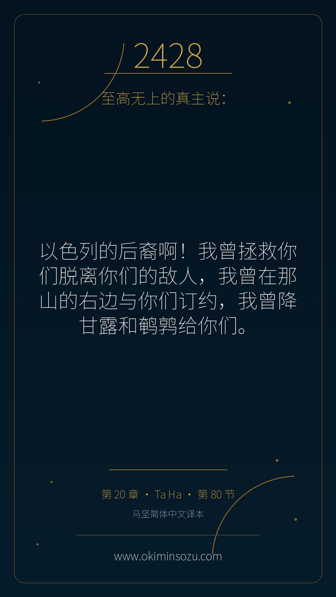 2428 S020 A080