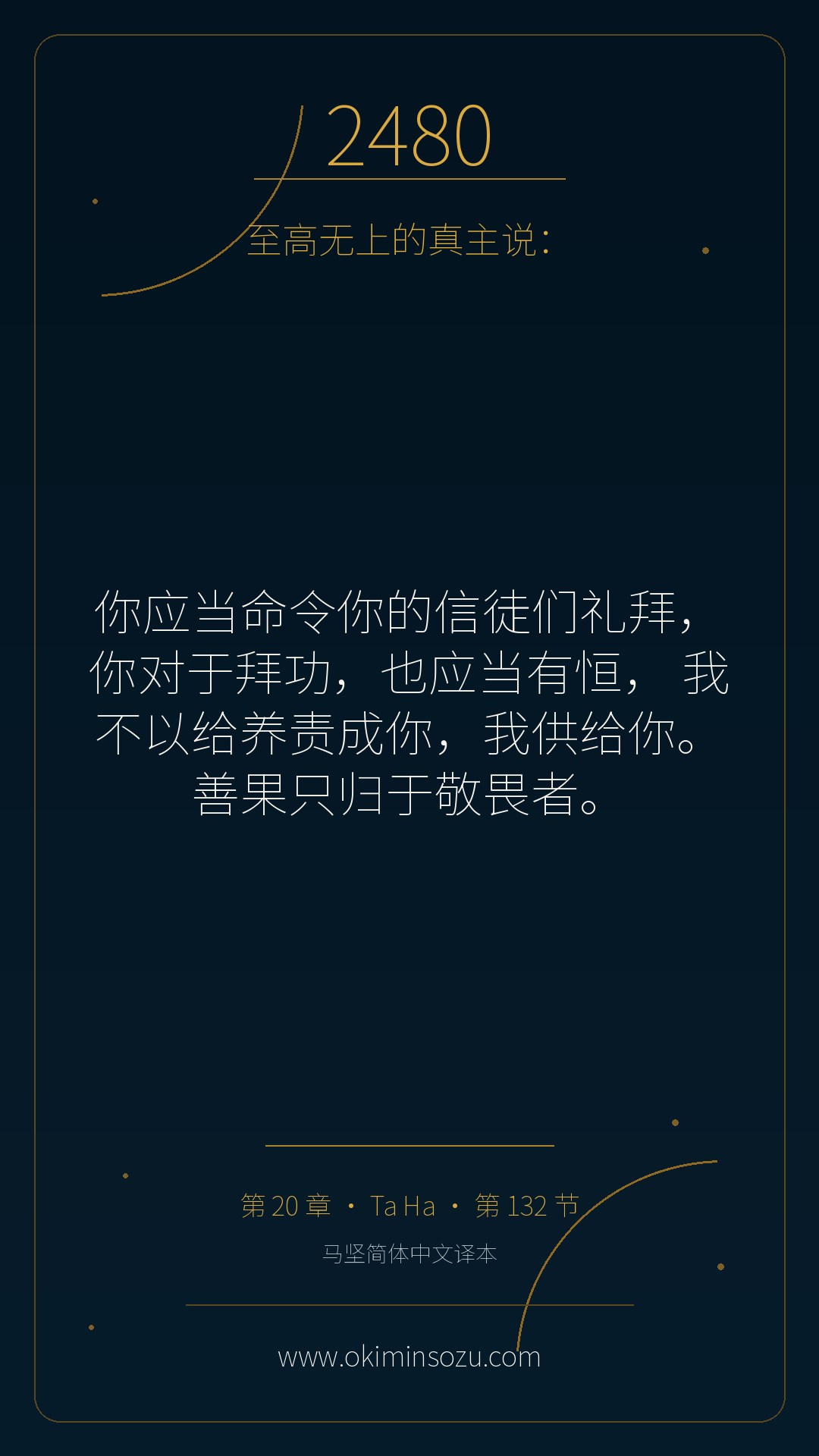 2480 S020 A132