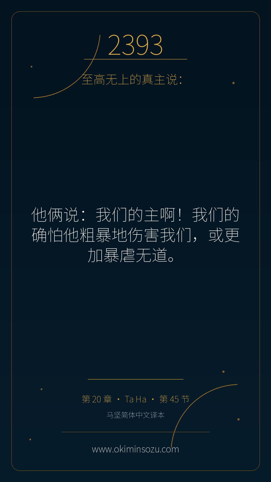 2393 S020 A045