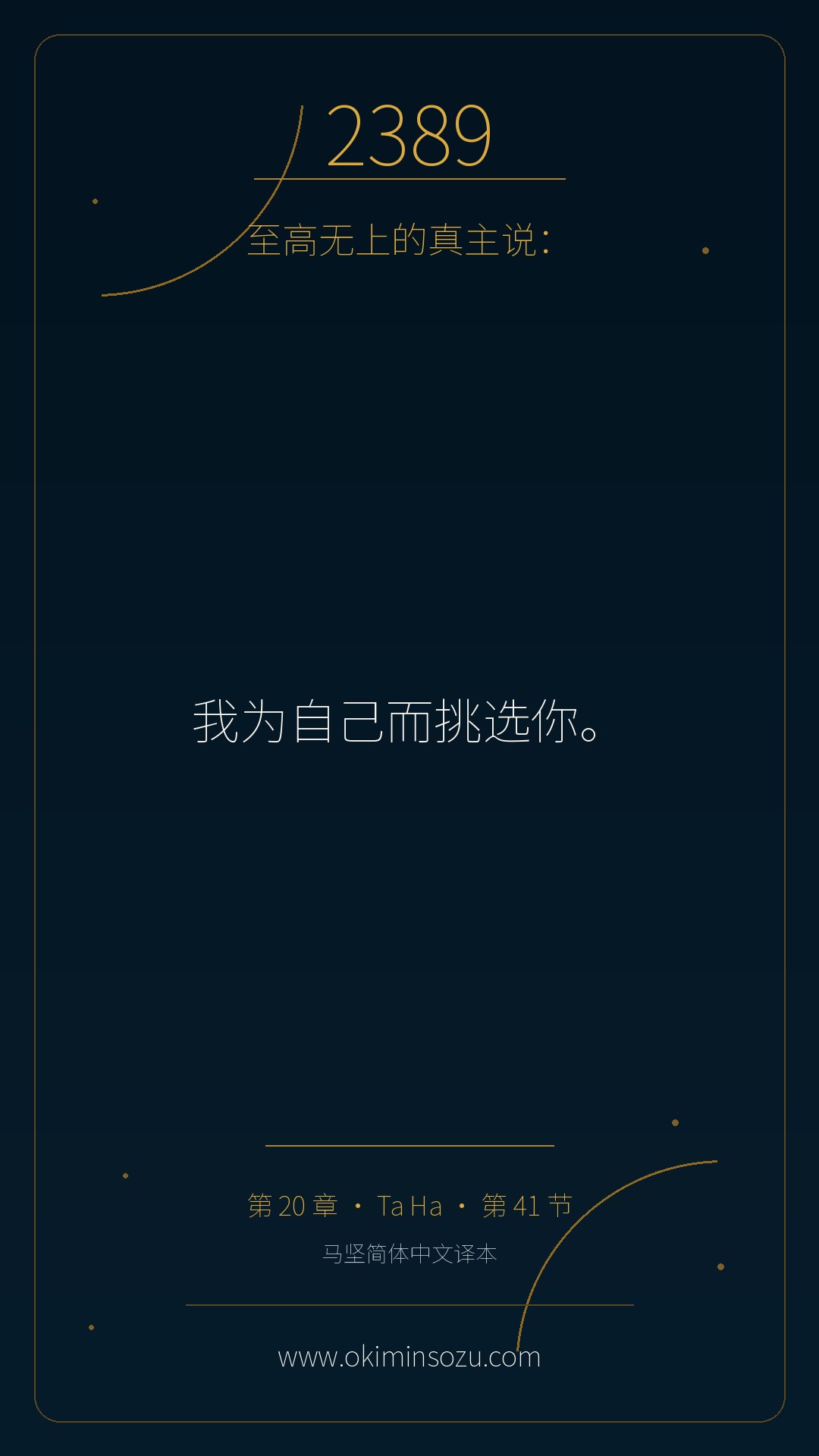2389 S020 A041