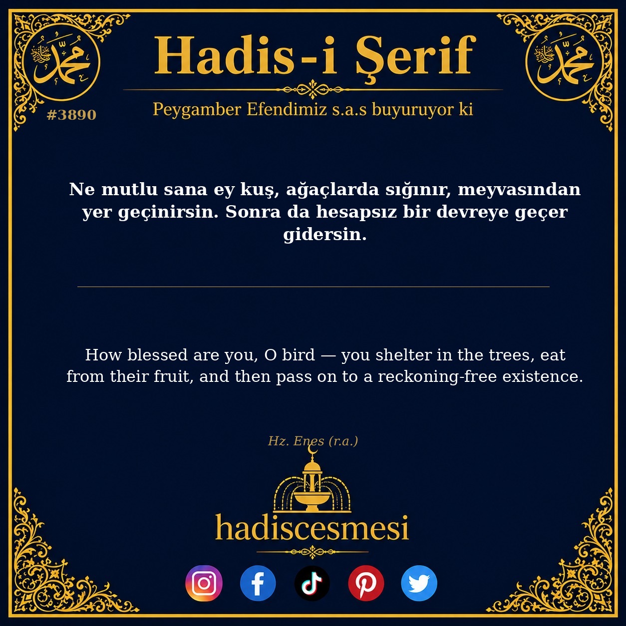 Hadis 3890